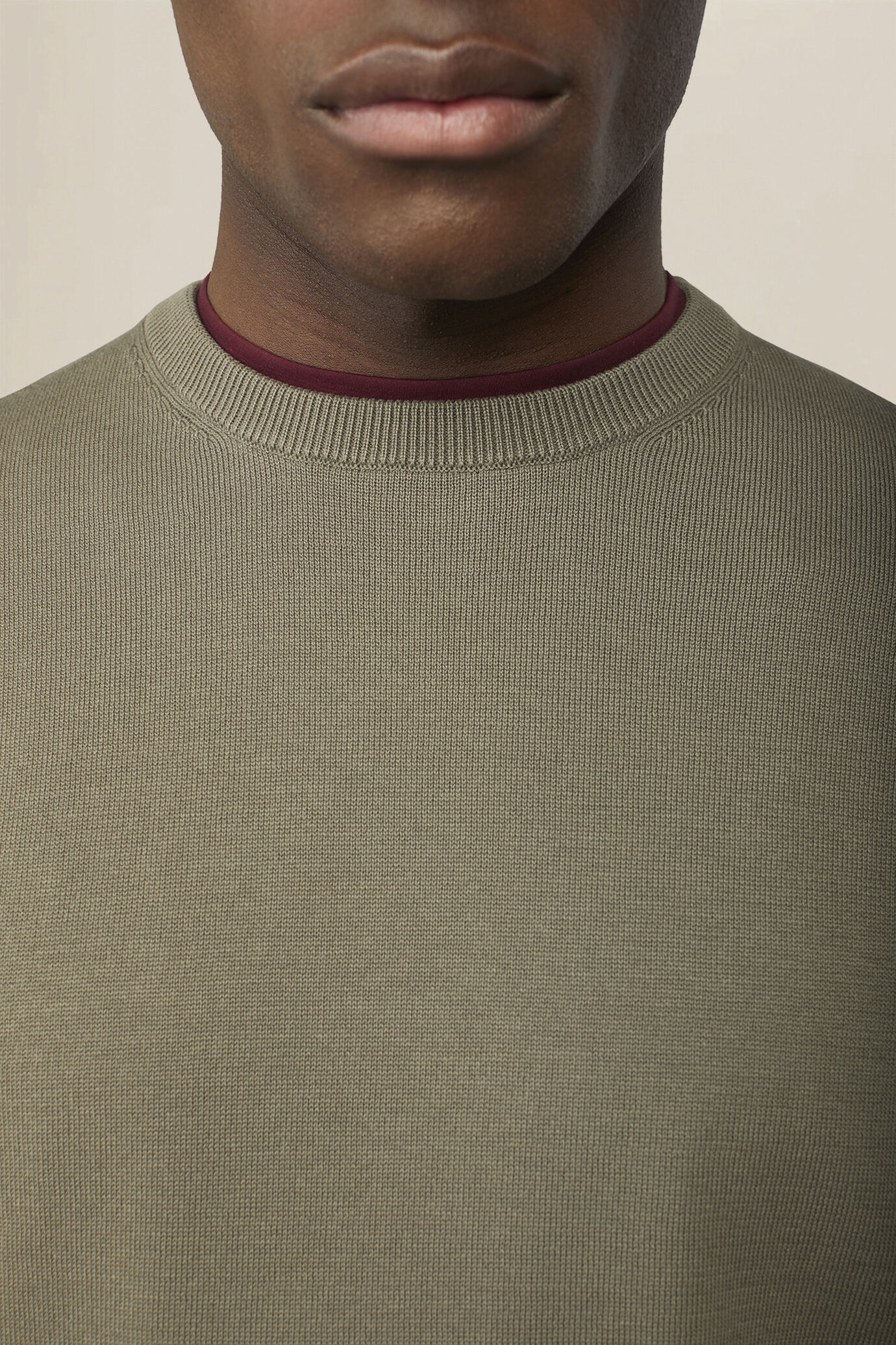 Men's crew neck jumper in 100% cotton image number 2