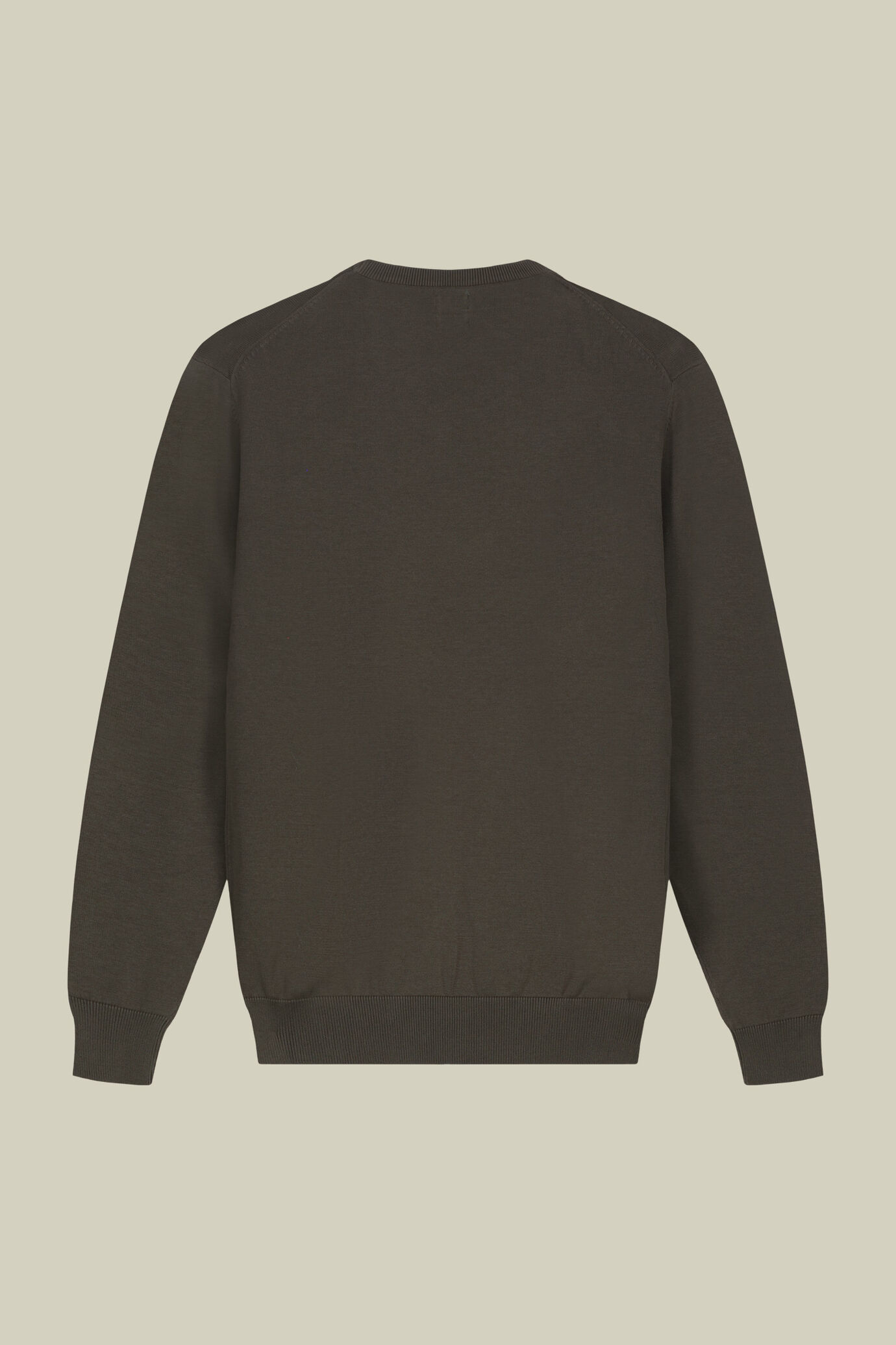 Men's crew neck jumper in 100% cotton image number 5