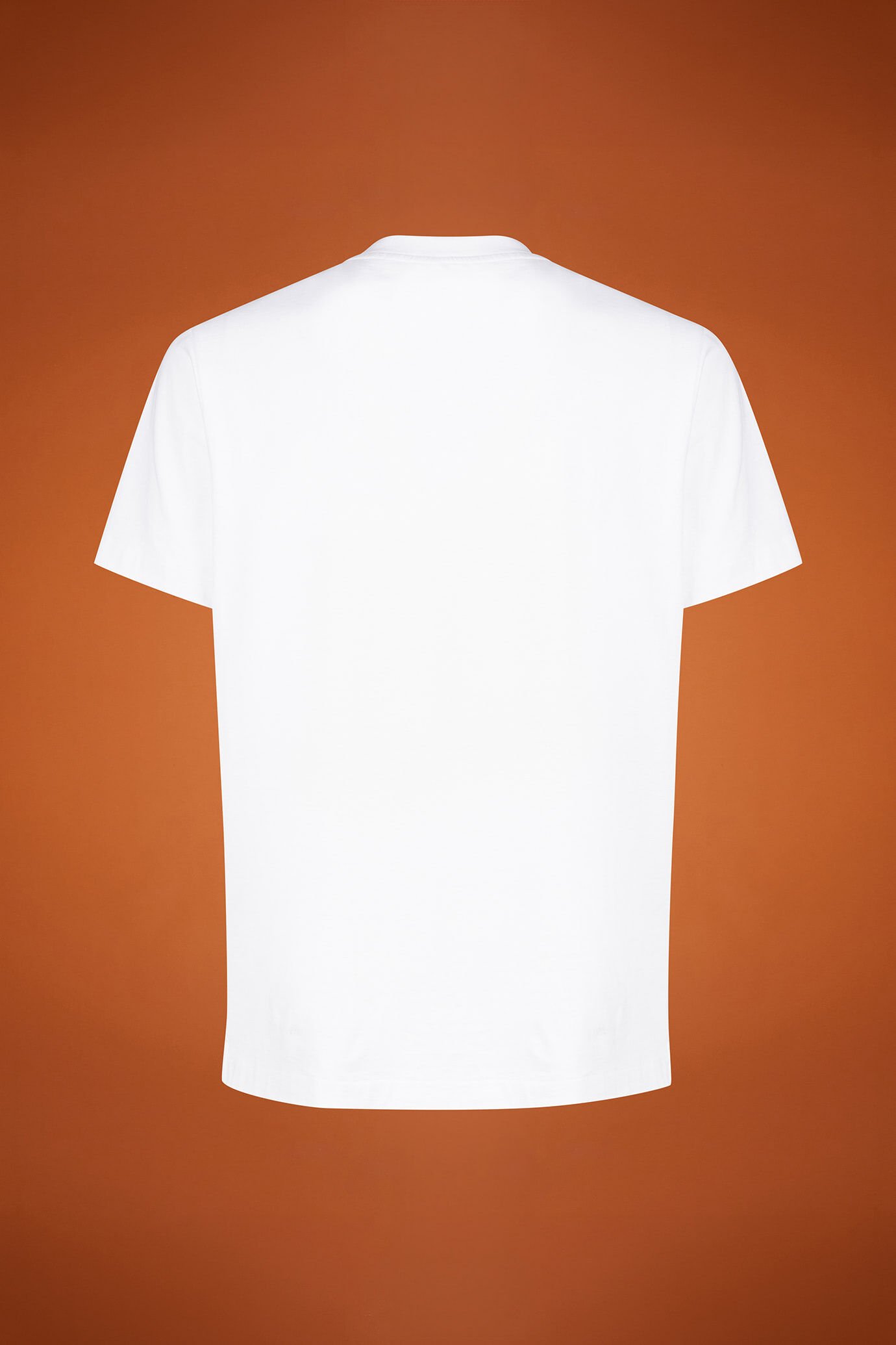 T-Shirt uomo collo alto 100% cotone con maniche corte regular fit image number 5