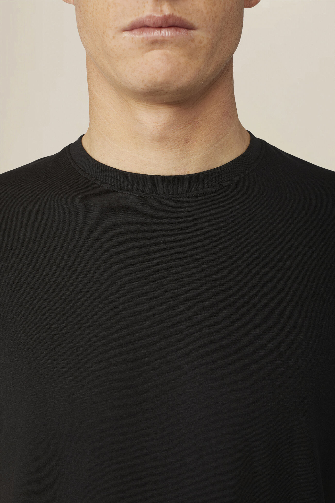 Men's regular fit 100% cotton jersey T-shirt image number 2