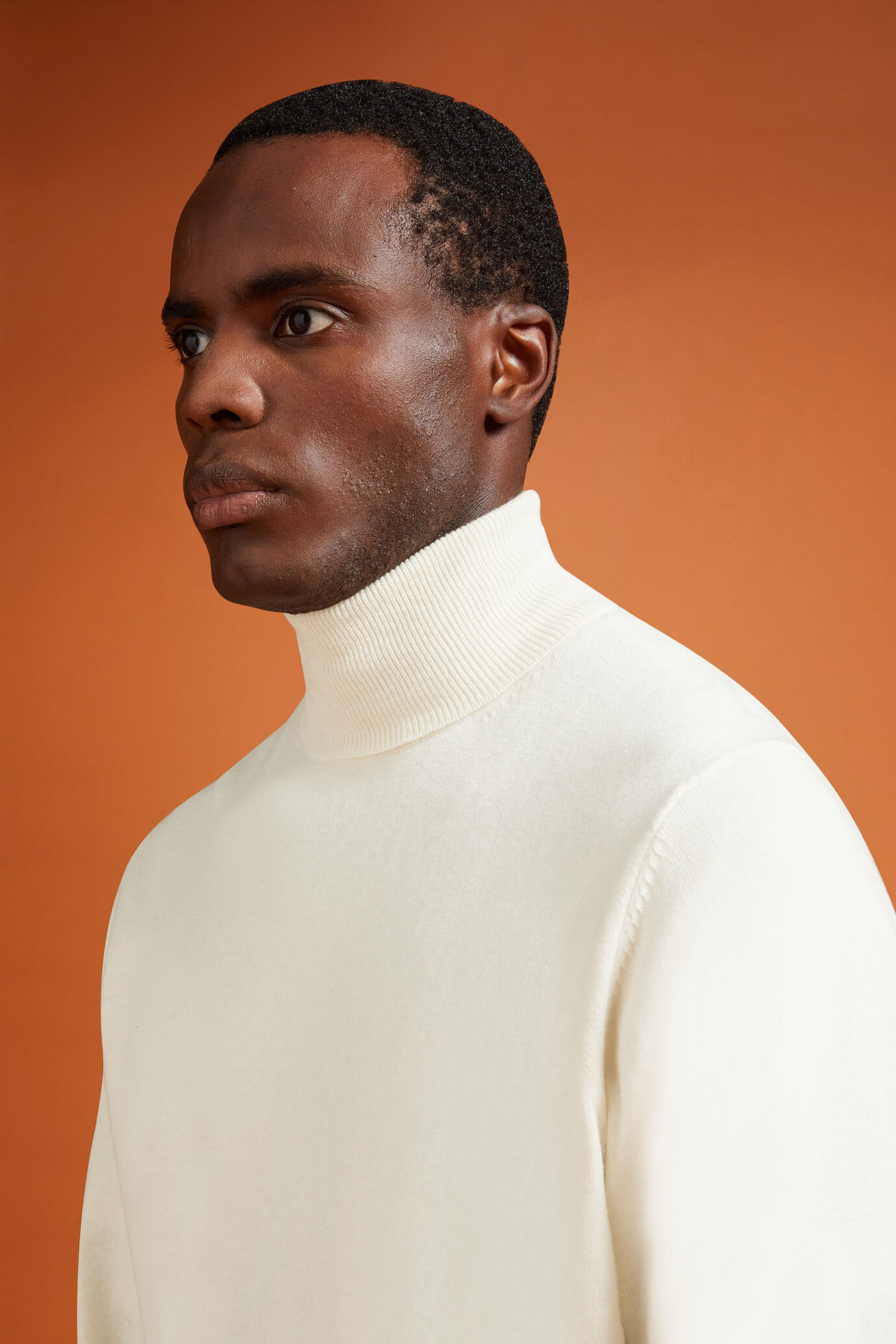 Pull homme à col montant, en laine et coton, coupe classique image number 3