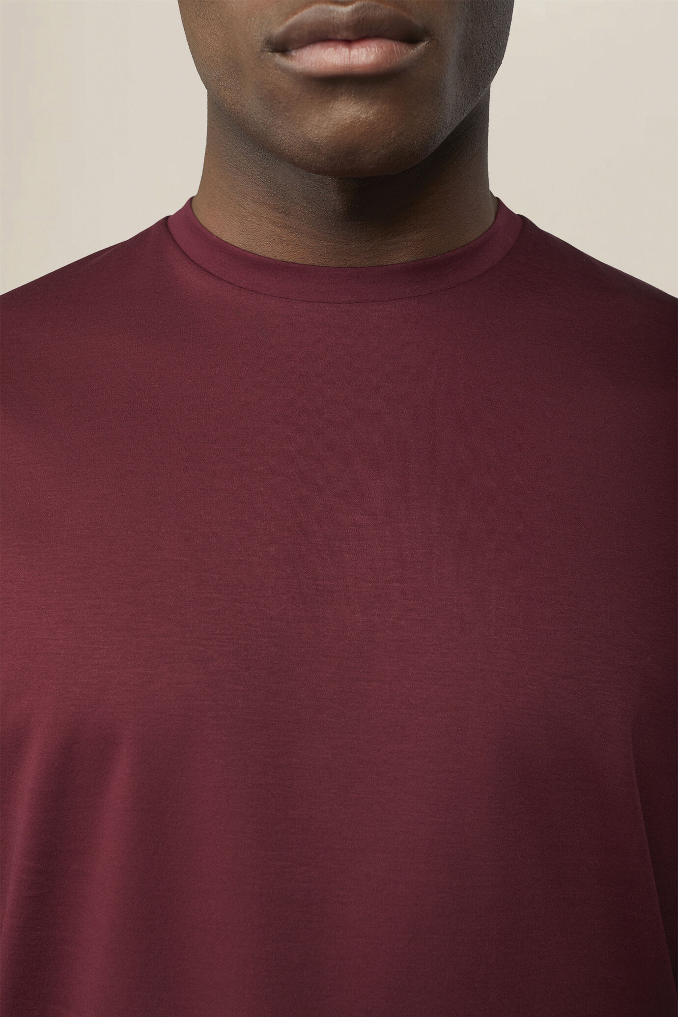 T-shirt homme 100 % coton coupe classique image number 2