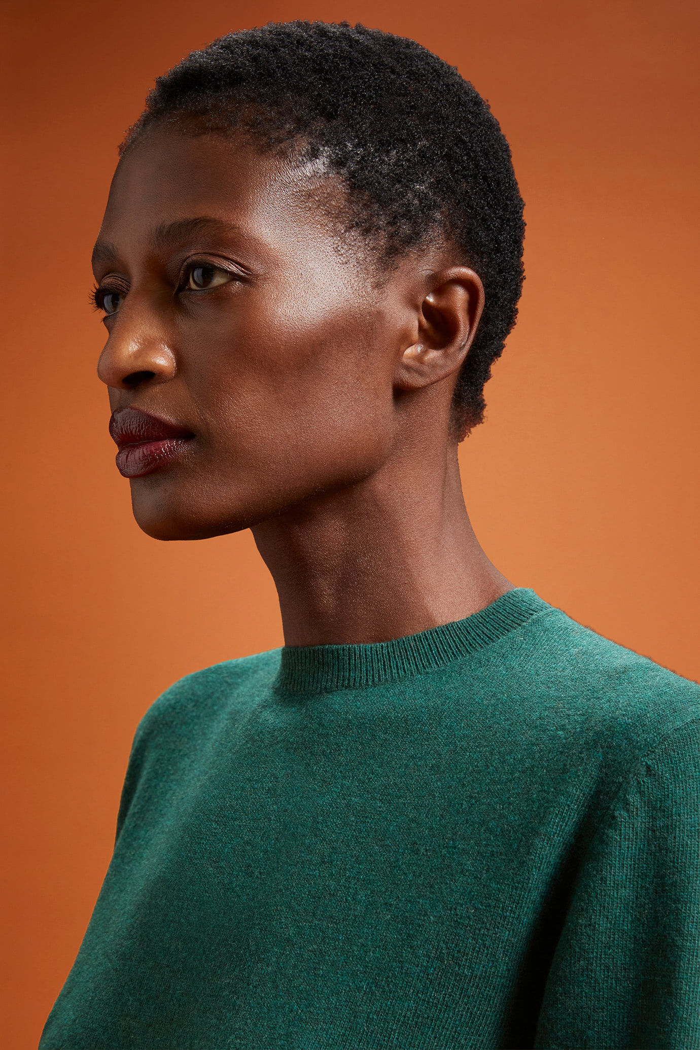 Women's regular fit crew neck jumper in a blend of wool and cashmere image number 3