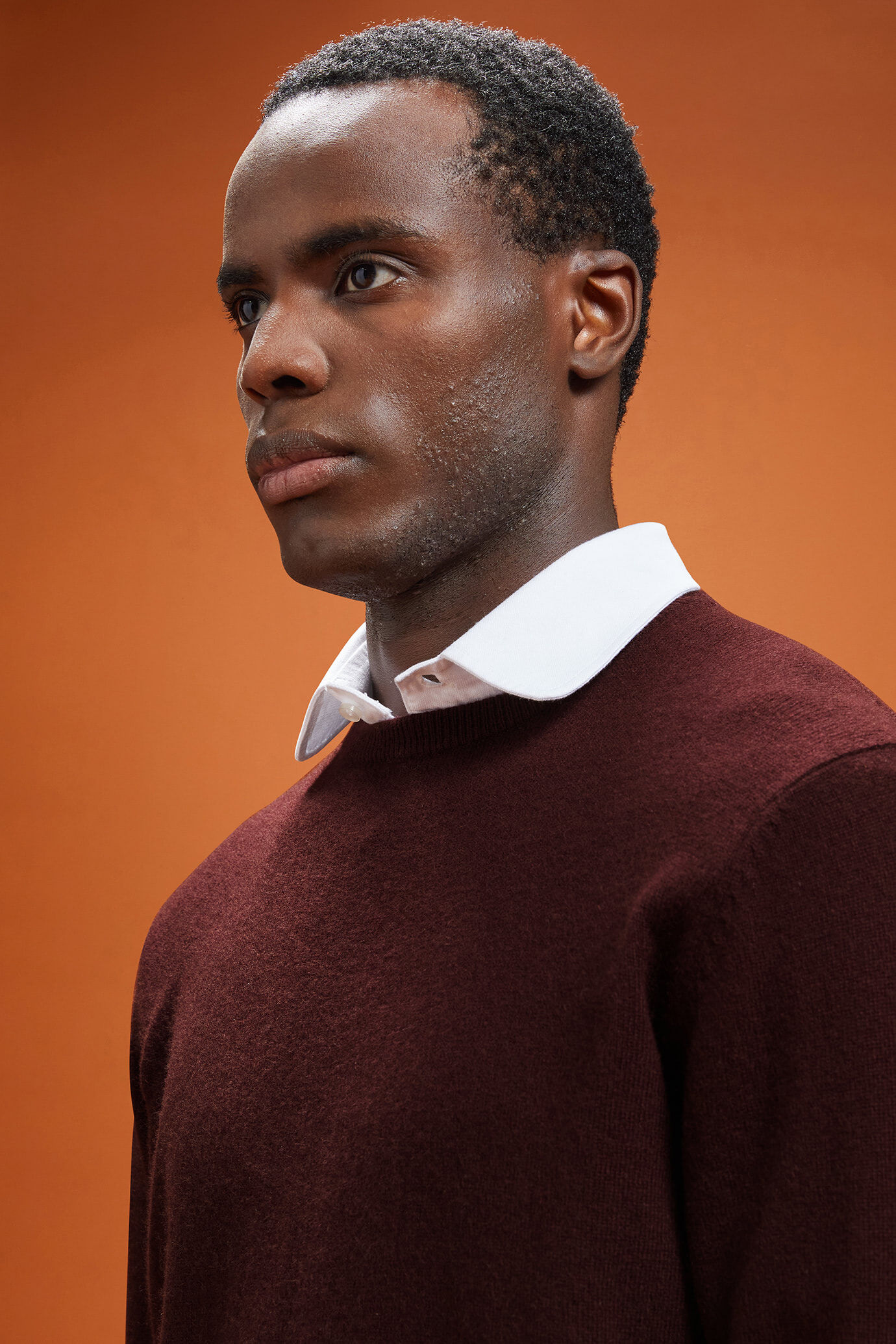 Men's regular fit crew neck jumper in 100% cashmere image number 3