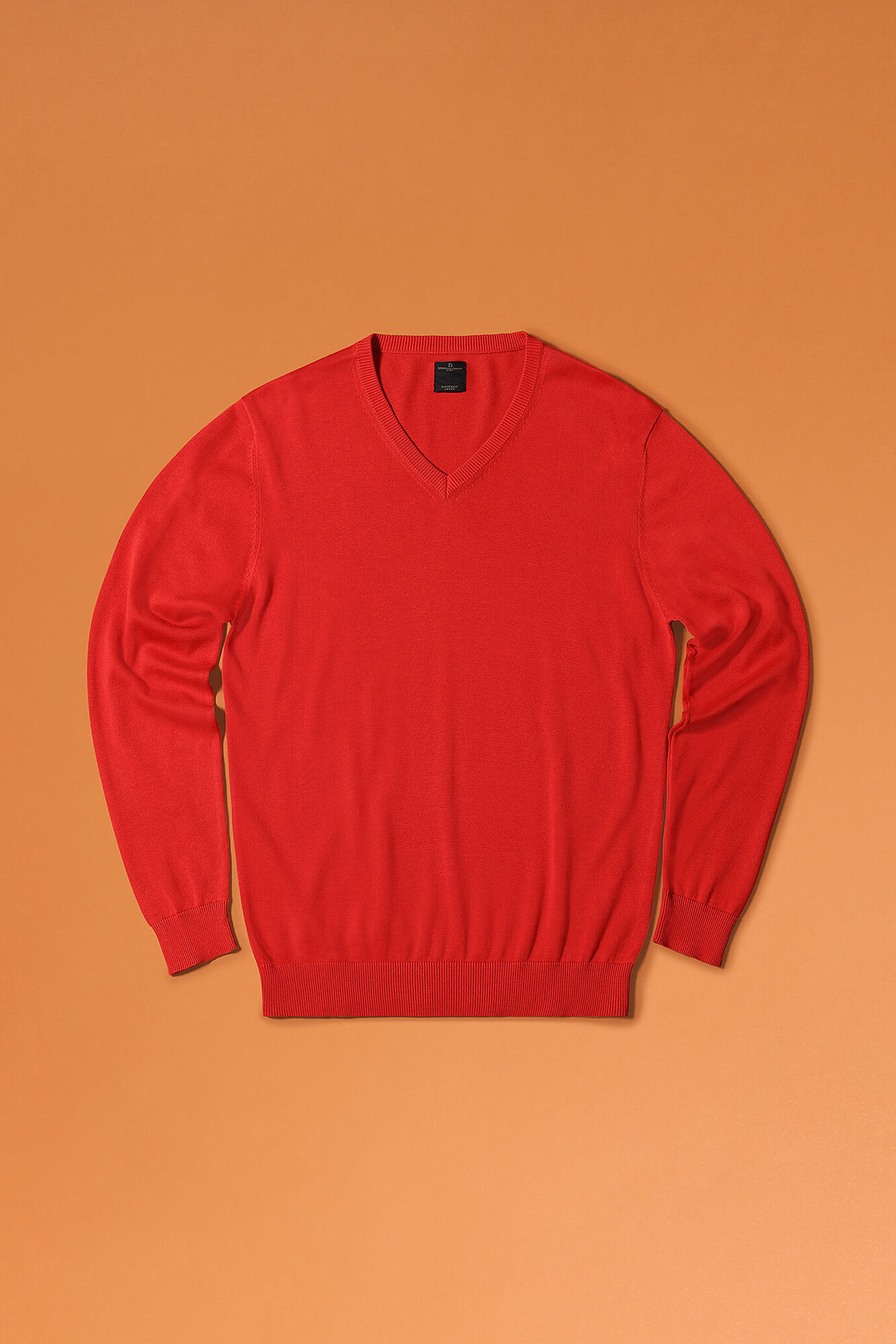 Maglia scollo a V in tinta unita puro cotone uomo image number 0