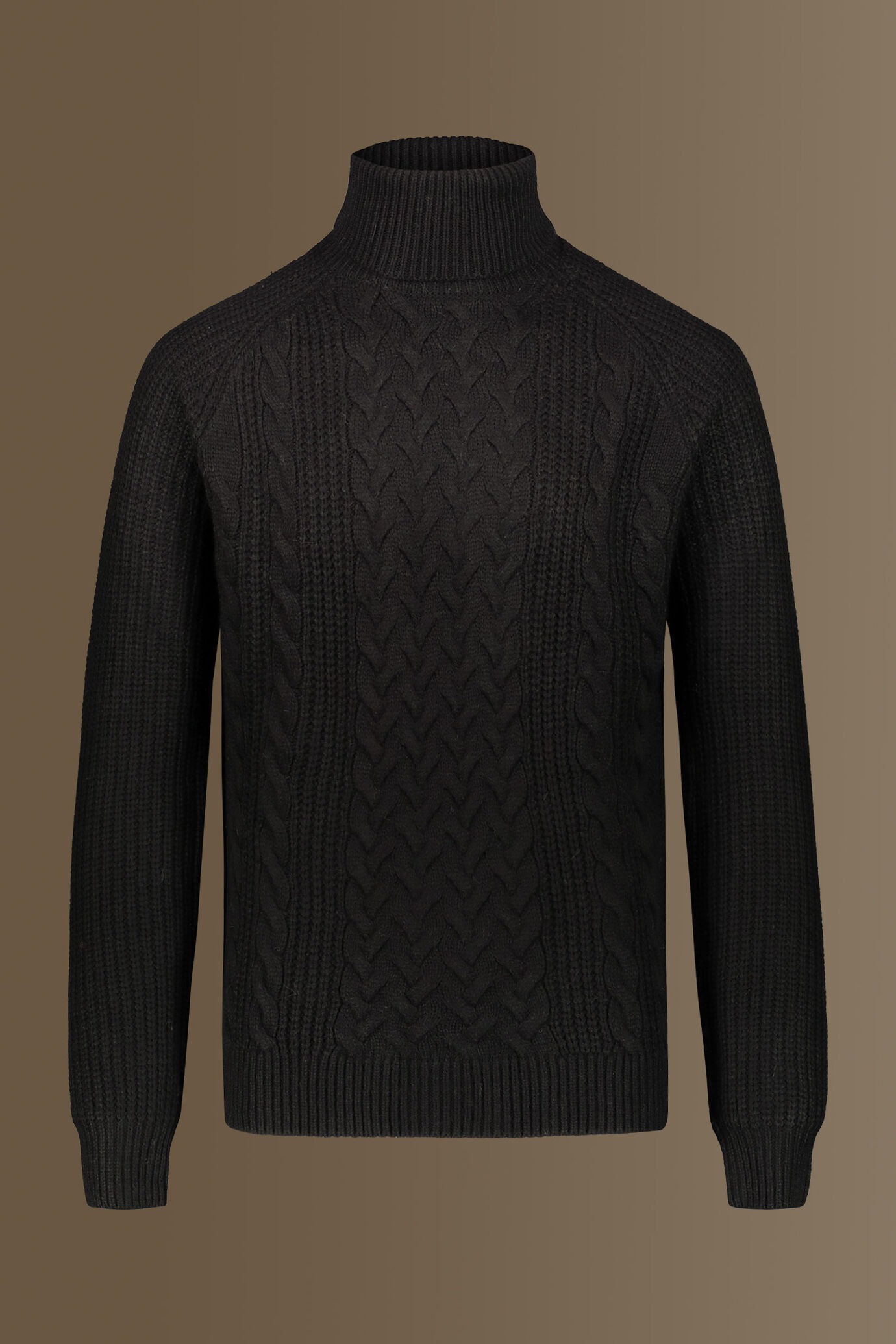 Turtle neck sweater wool blend raglan sleeves image number 0