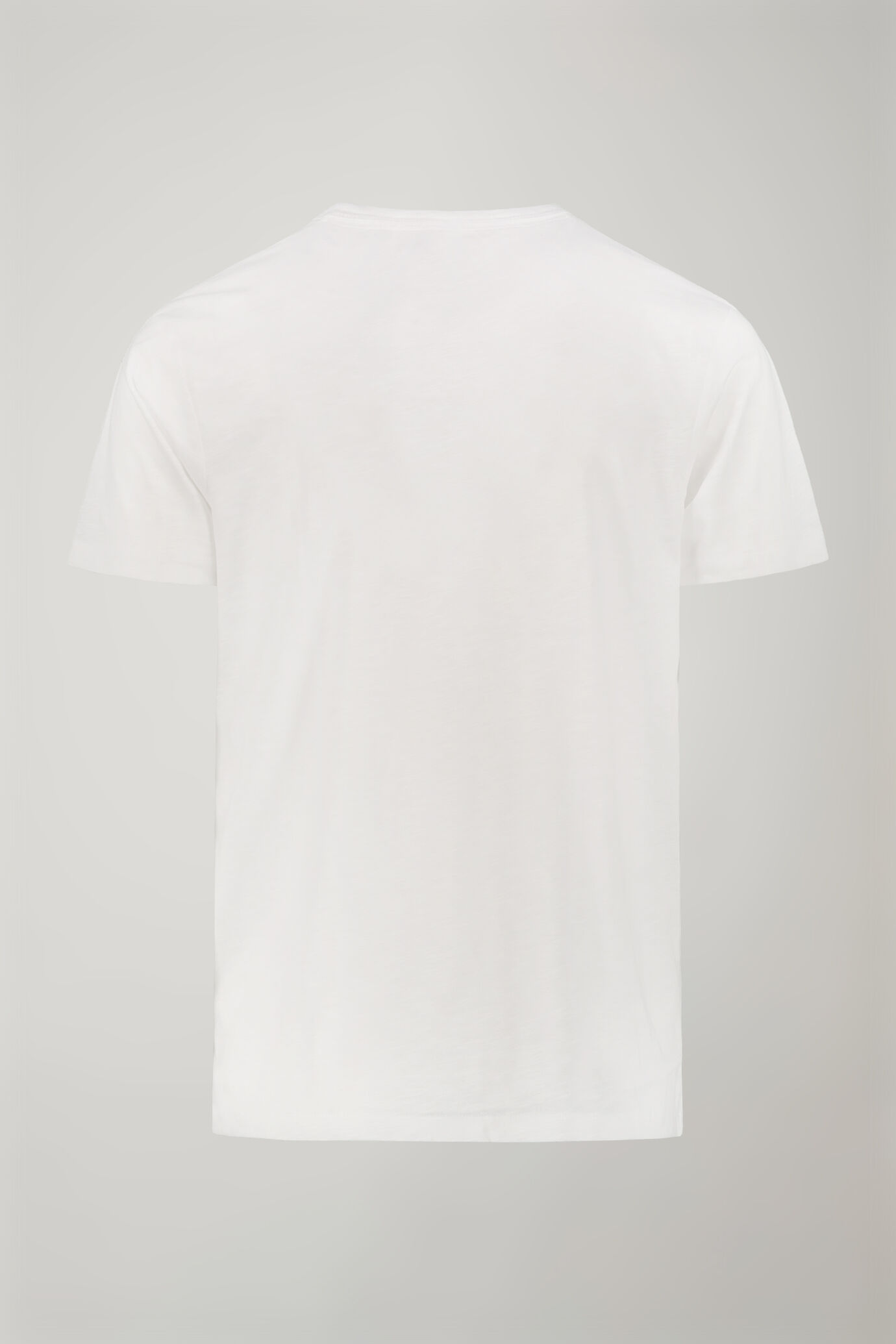 Men&rsquo;s v-neck t-shirt 100% cotton flamed effect regular fit image number 5