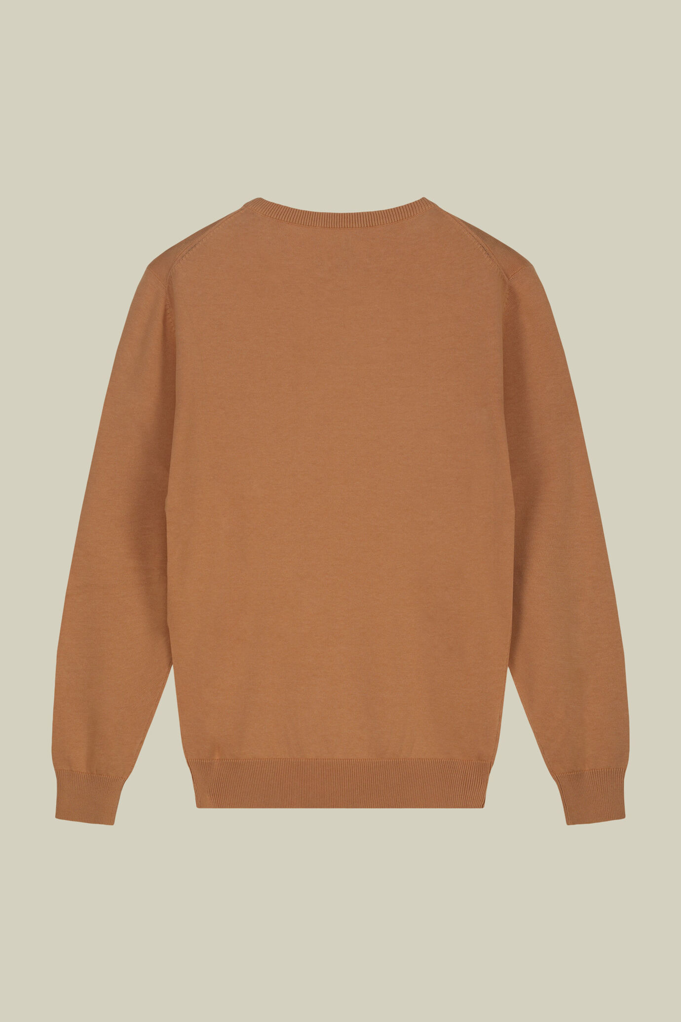 Men's crew neck jumper in 100% cotton image number 5