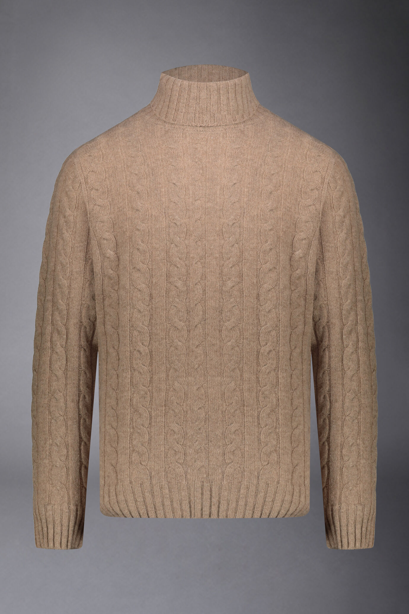 Pull à col roulé en laine d'agneau mélangée regular fit image number 4