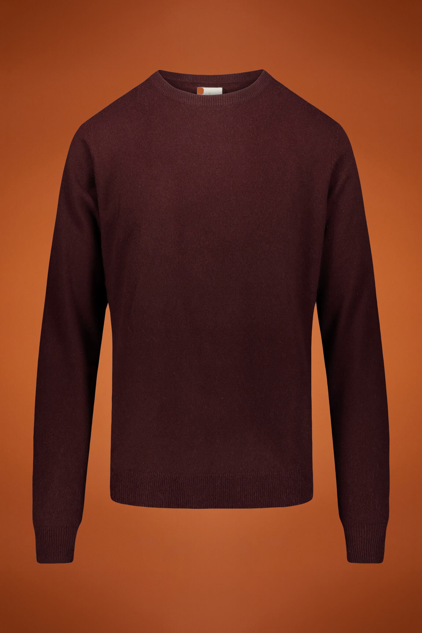 Men's 100% cashmere regular fit roundneck sweater