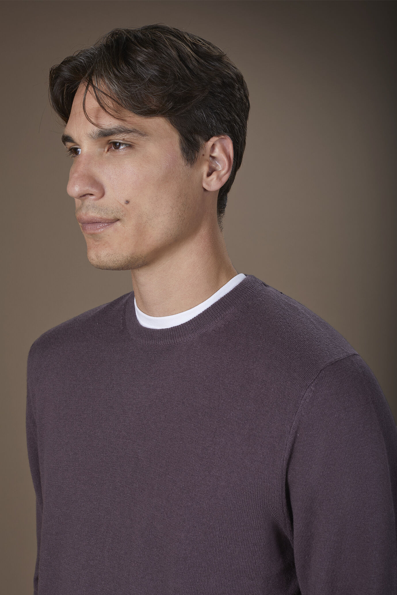 Men's regular fit crew neck jumper in wool and cotton image number 2