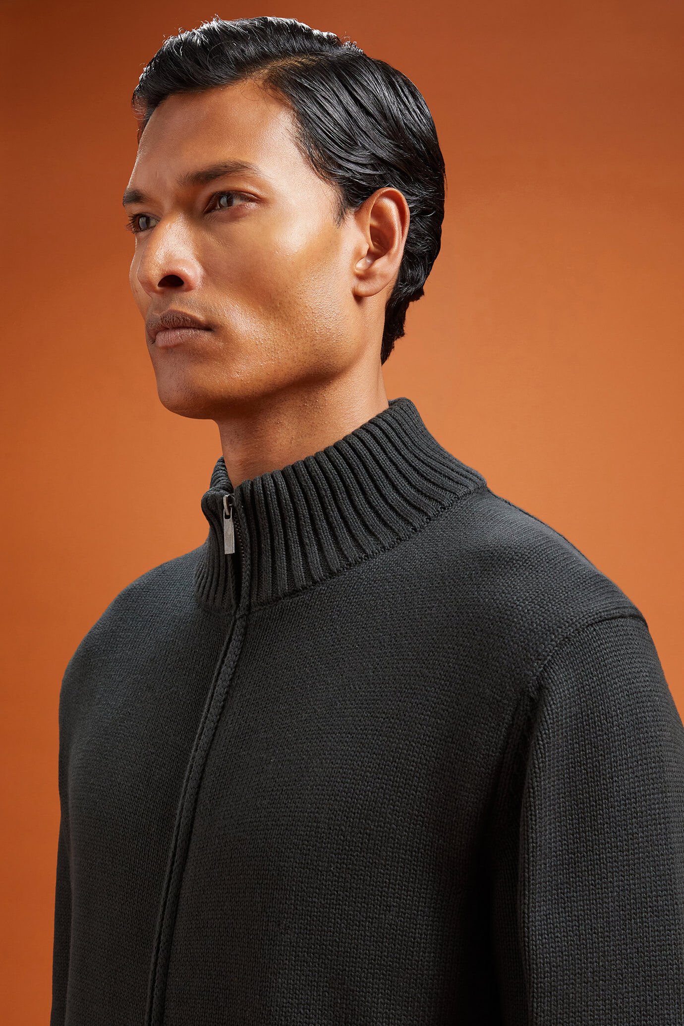 Cardigan homme avec zip, col montant, 100% coton, coupe classique image number 2
