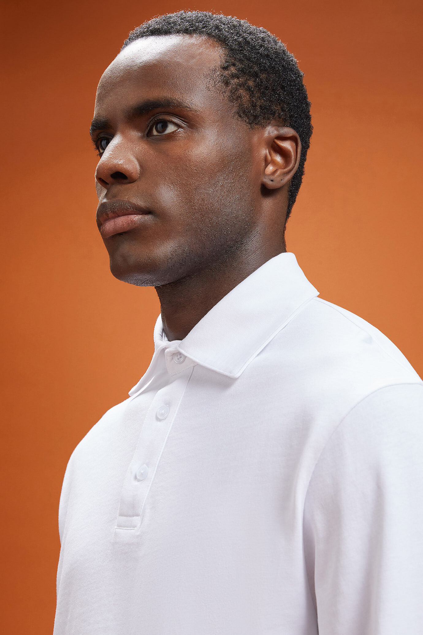 Langärmeliges Herren-Poloshirt mit klassischem Kragen aus 100 % Baumwolle in normaler Passform image number 3