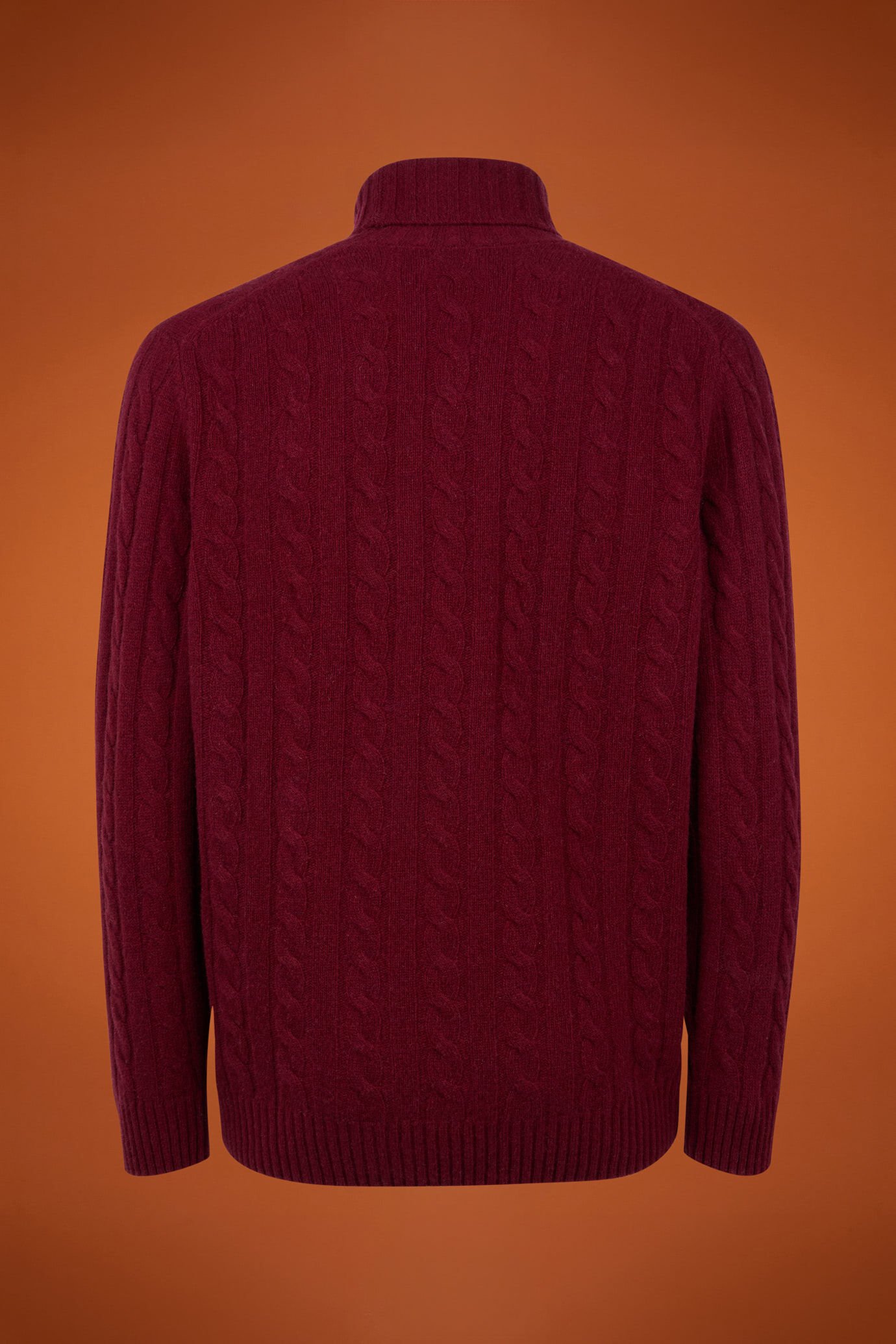 Pull homme à col roulé en laine d'agneau, coupe classique image number 5