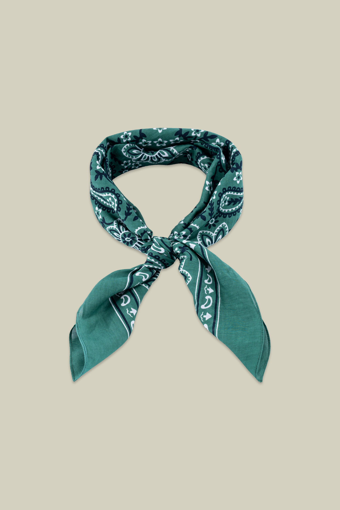 Foulard uomo fantasia macro paisley image number 2