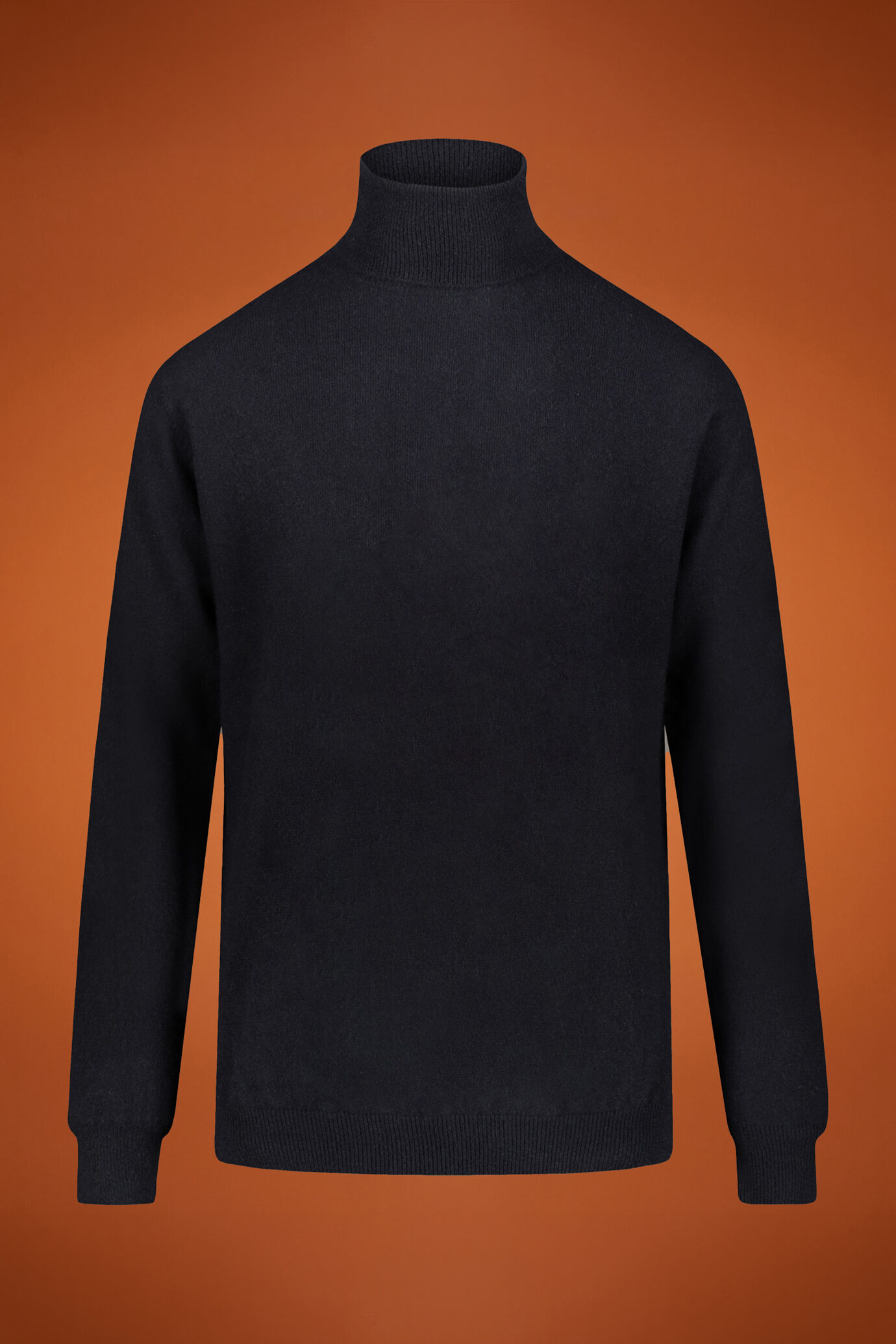Turtleneck sweater 100% cachemire