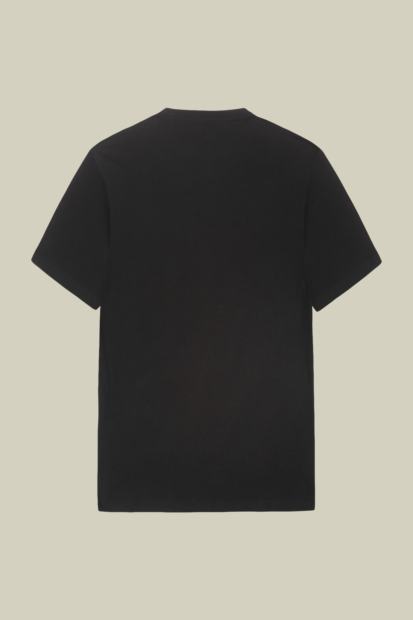 Men's regular fit 100% cotton jersey T-shirt image number 5