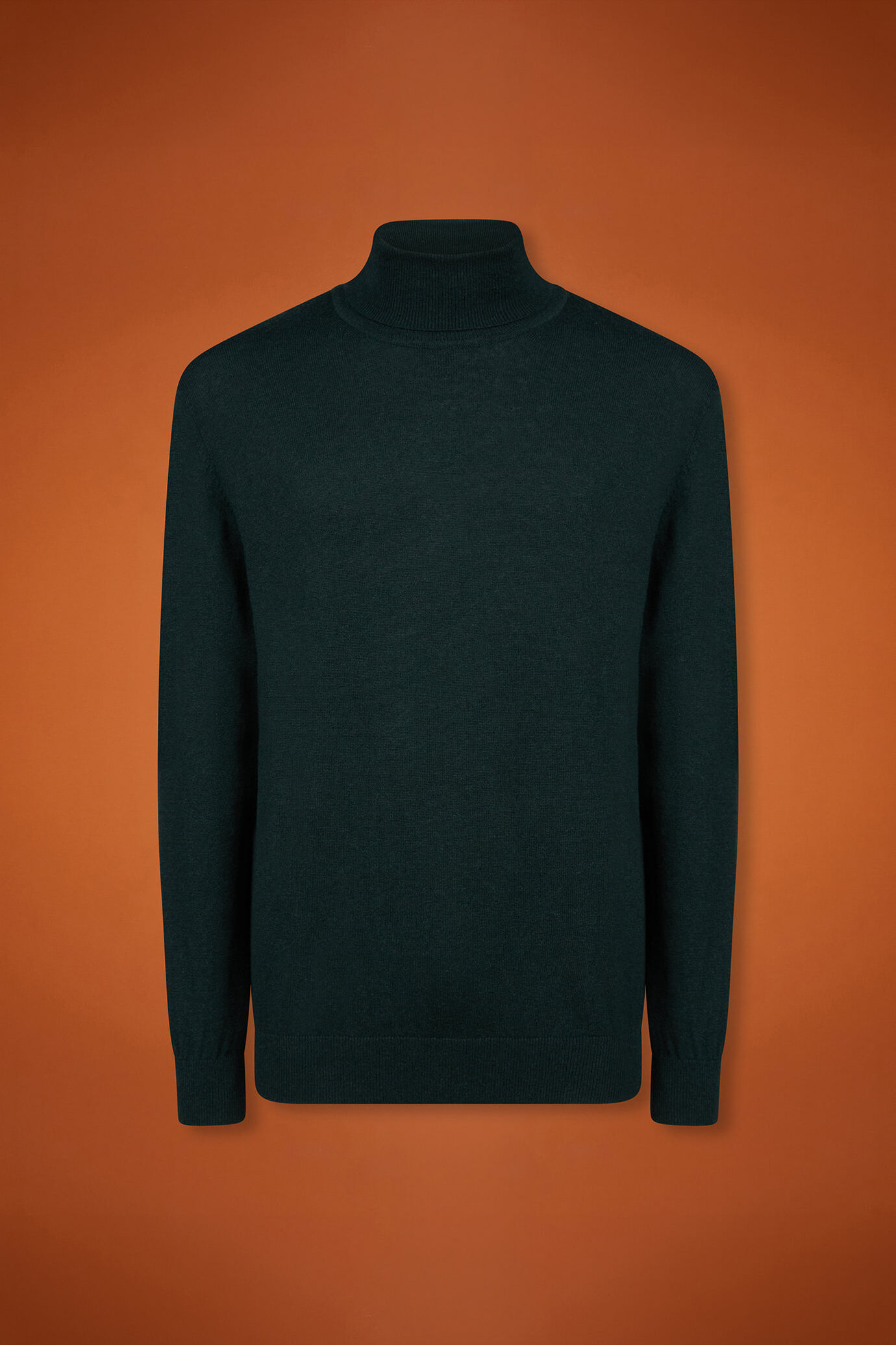 Men's regular fit turtleneck jumper in wool and cotton image number 4
