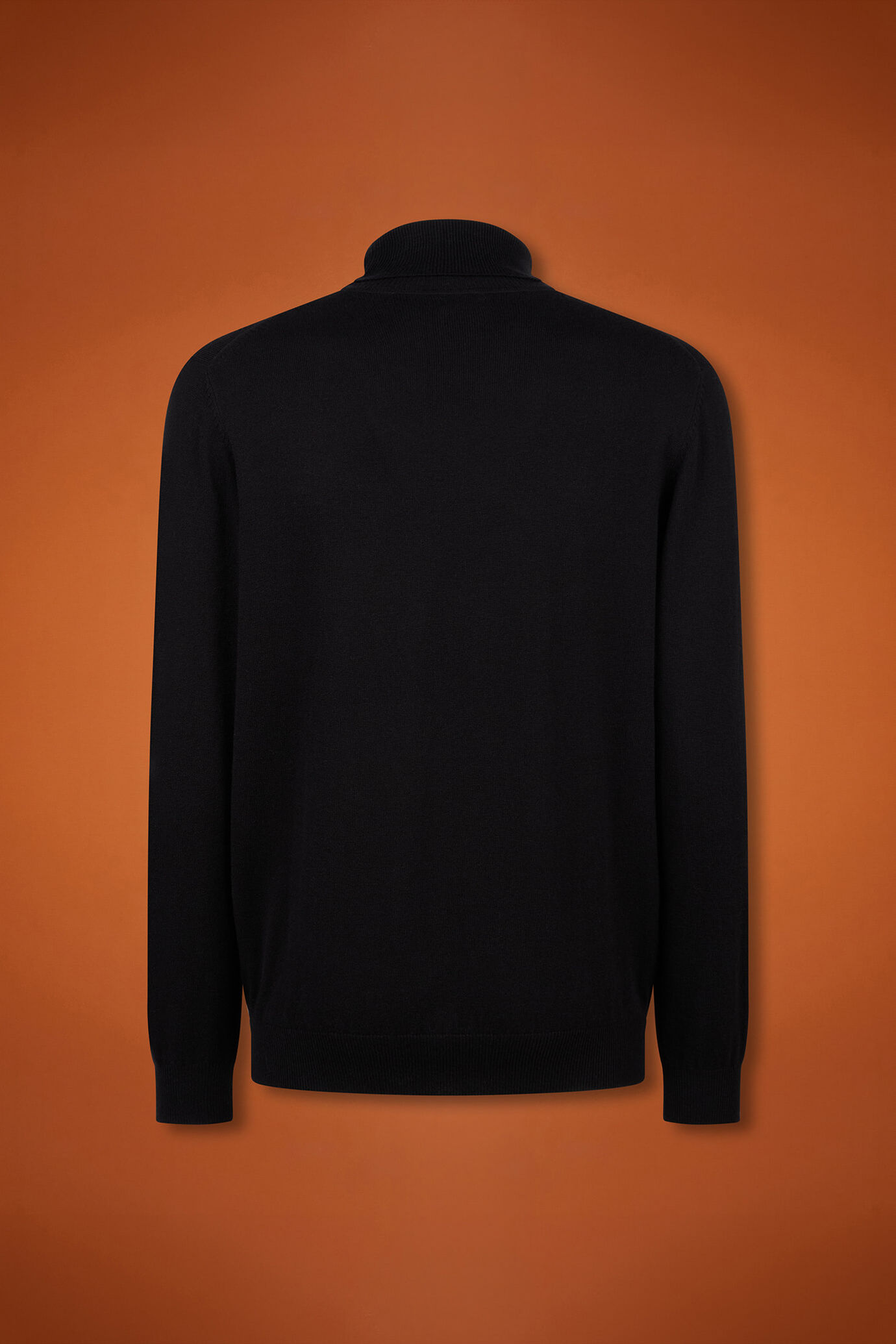 Pull homme à col montant, en laine et coton, coupe classique image number 5
