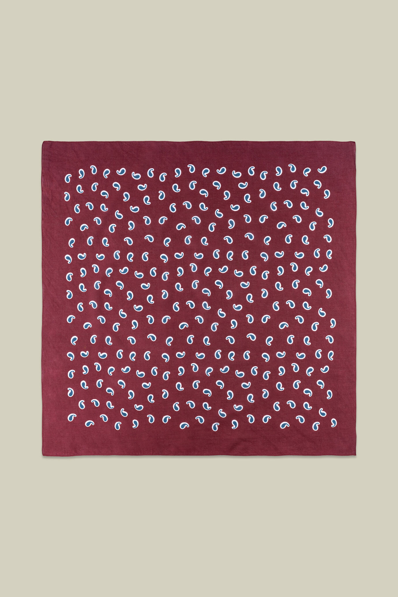 &Eacute;charpe homme &agrave; motif macro cachemire image number 0