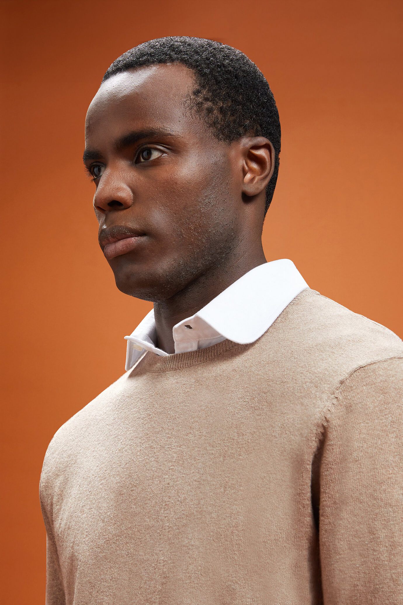 Pull homme à col rond, en laine et coton, coupe classique image number 3