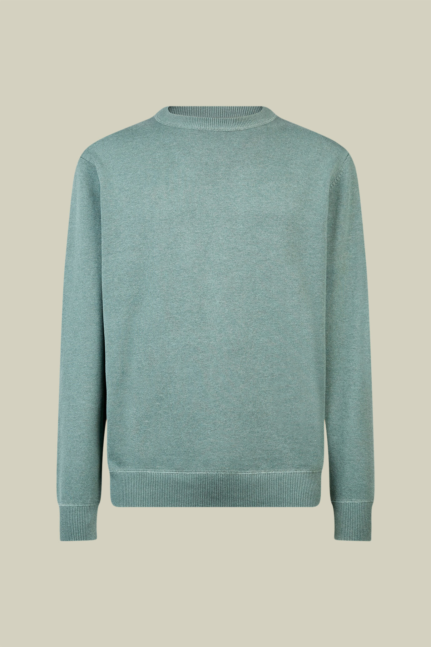 Men's regular fit crew neck jumper with plush effect details 100% cotton image number 0