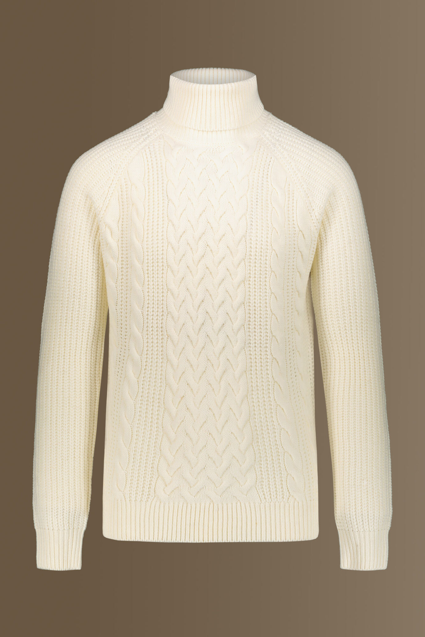 Turtle neck sweater wool blend raglan sleeves image number 0
