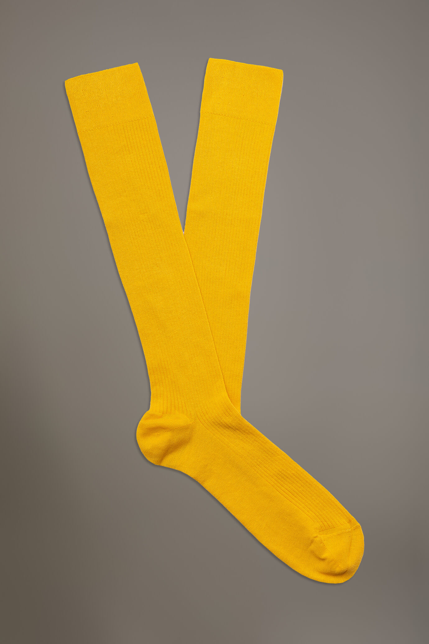 Chaussettes longues en maille côtelée Made in Italy image number 0