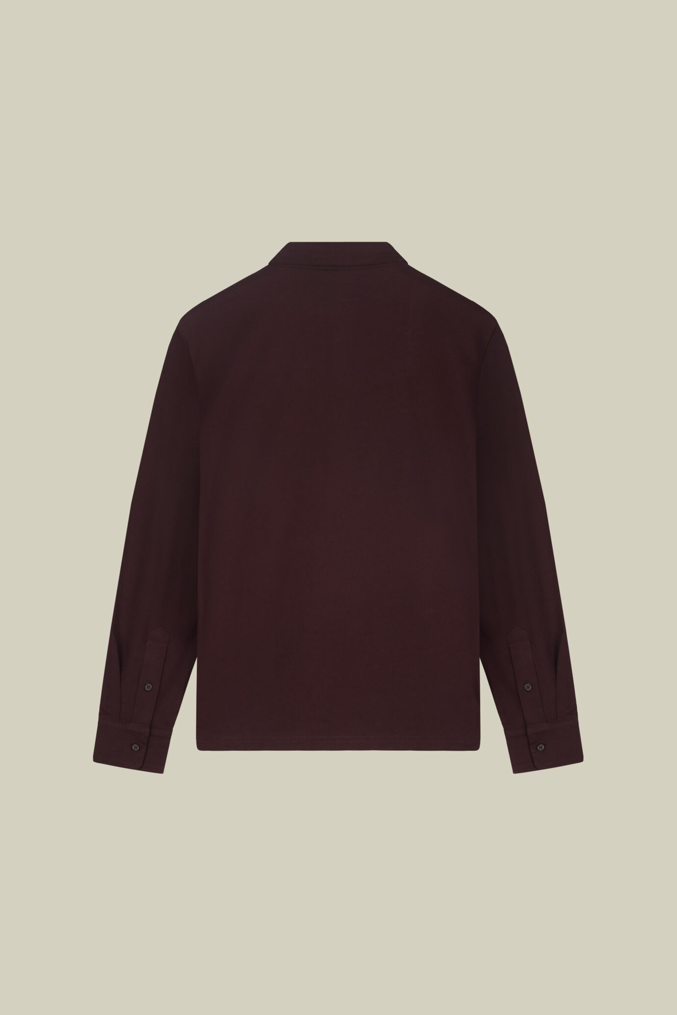 Polo uomo 100% cotone regular fit image number 5