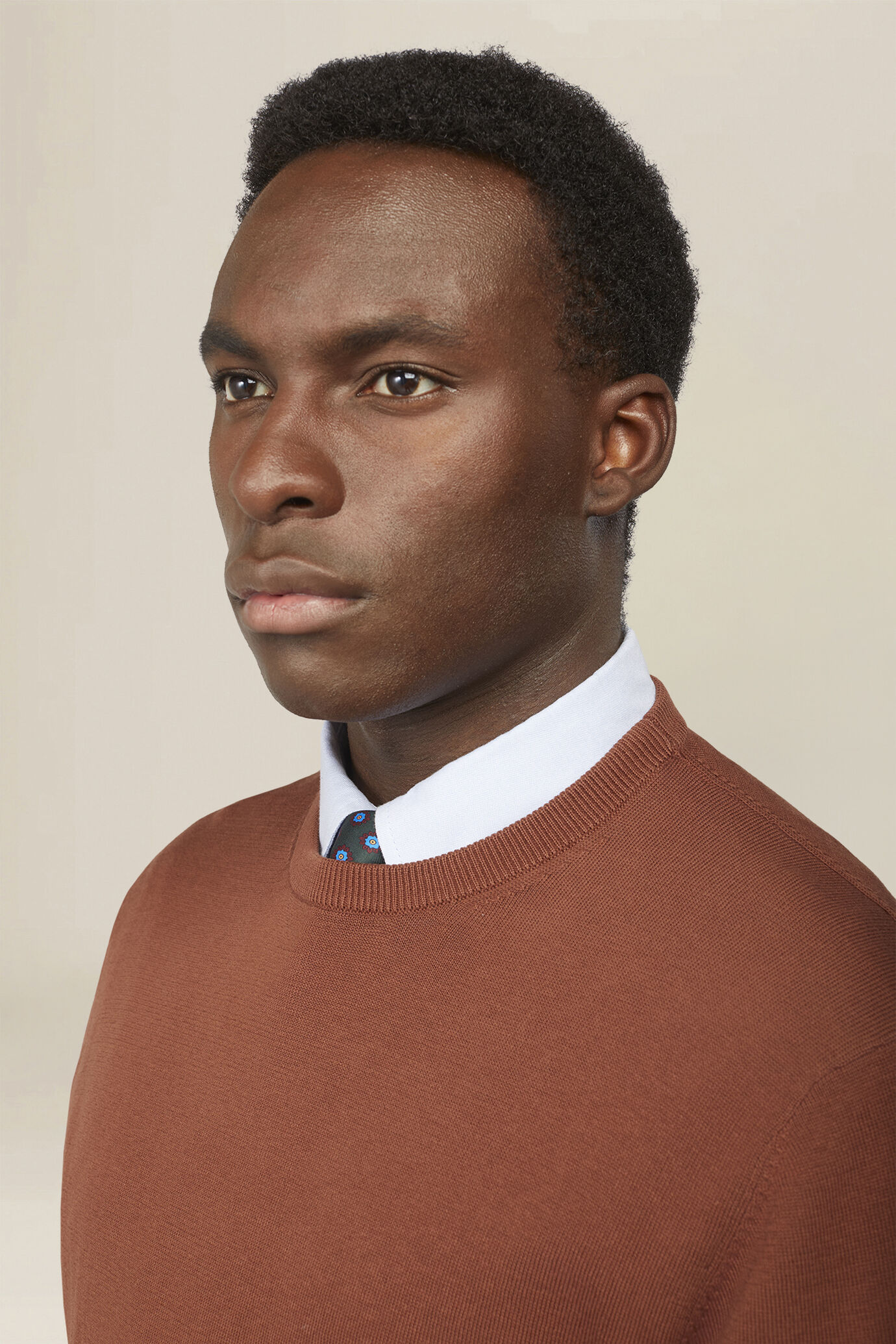 Men's crew neck jumper in 100% cotton image number 2