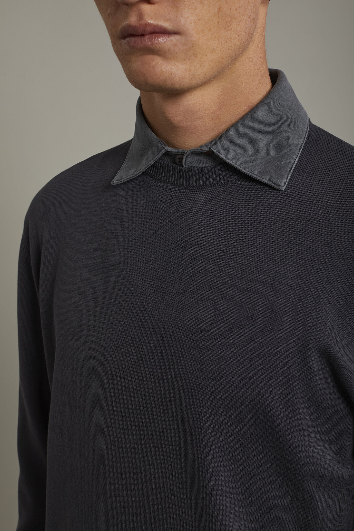 Men's Round neck sweater 100% cotton regular fit image number 3