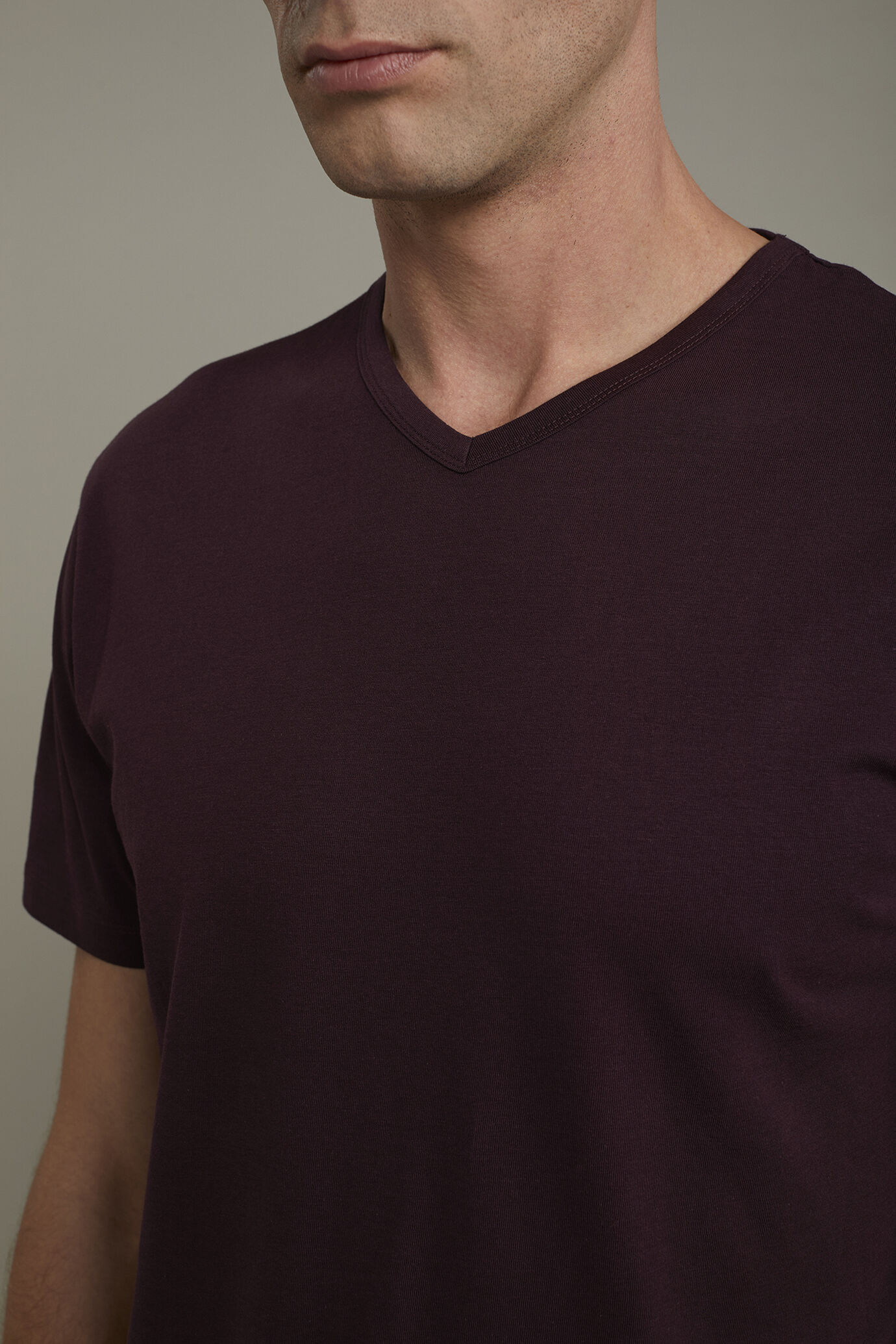 T-shirt homme col en v en 100 % coton jersey coupe régulière image number 3