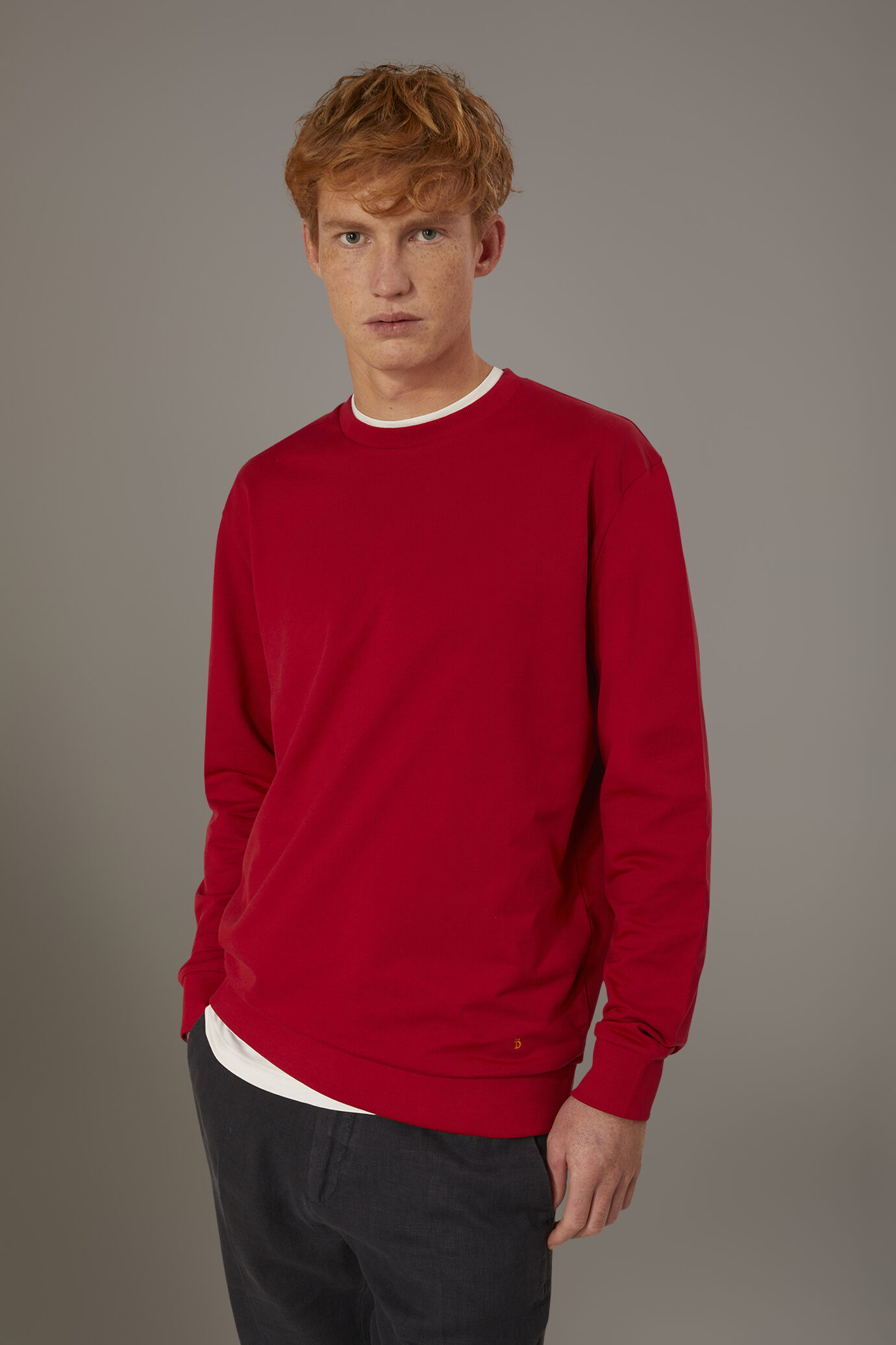 Pull col rond 100% coton image number 1