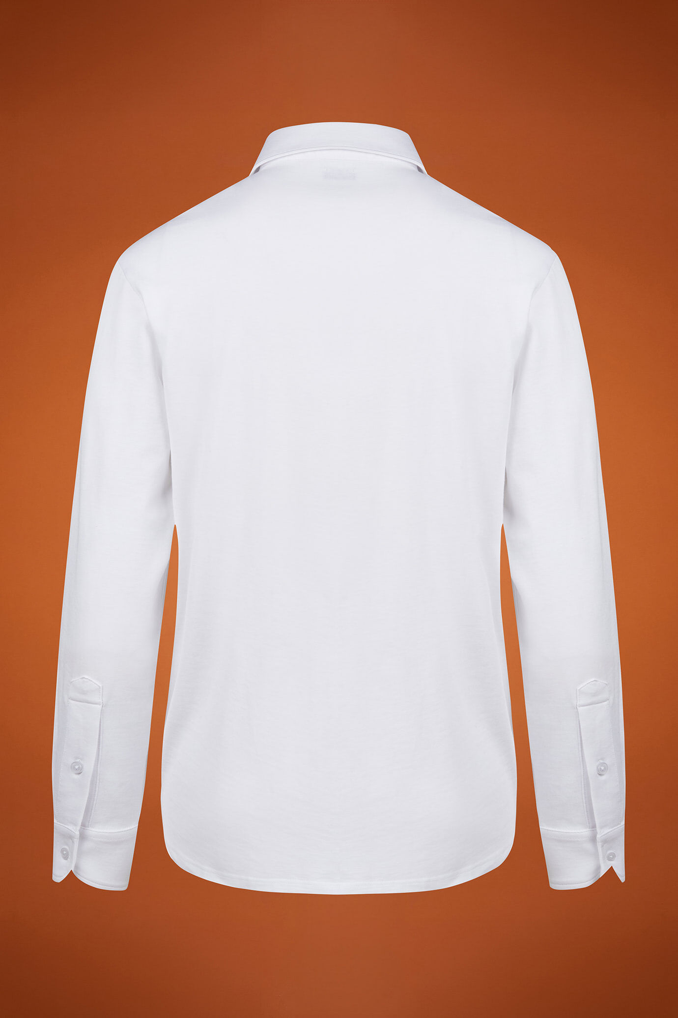 Langärmeliges Herren-Poloshirt mit klassischem Kragen aus 100 % Baumwolle in normaler Passform image number 5