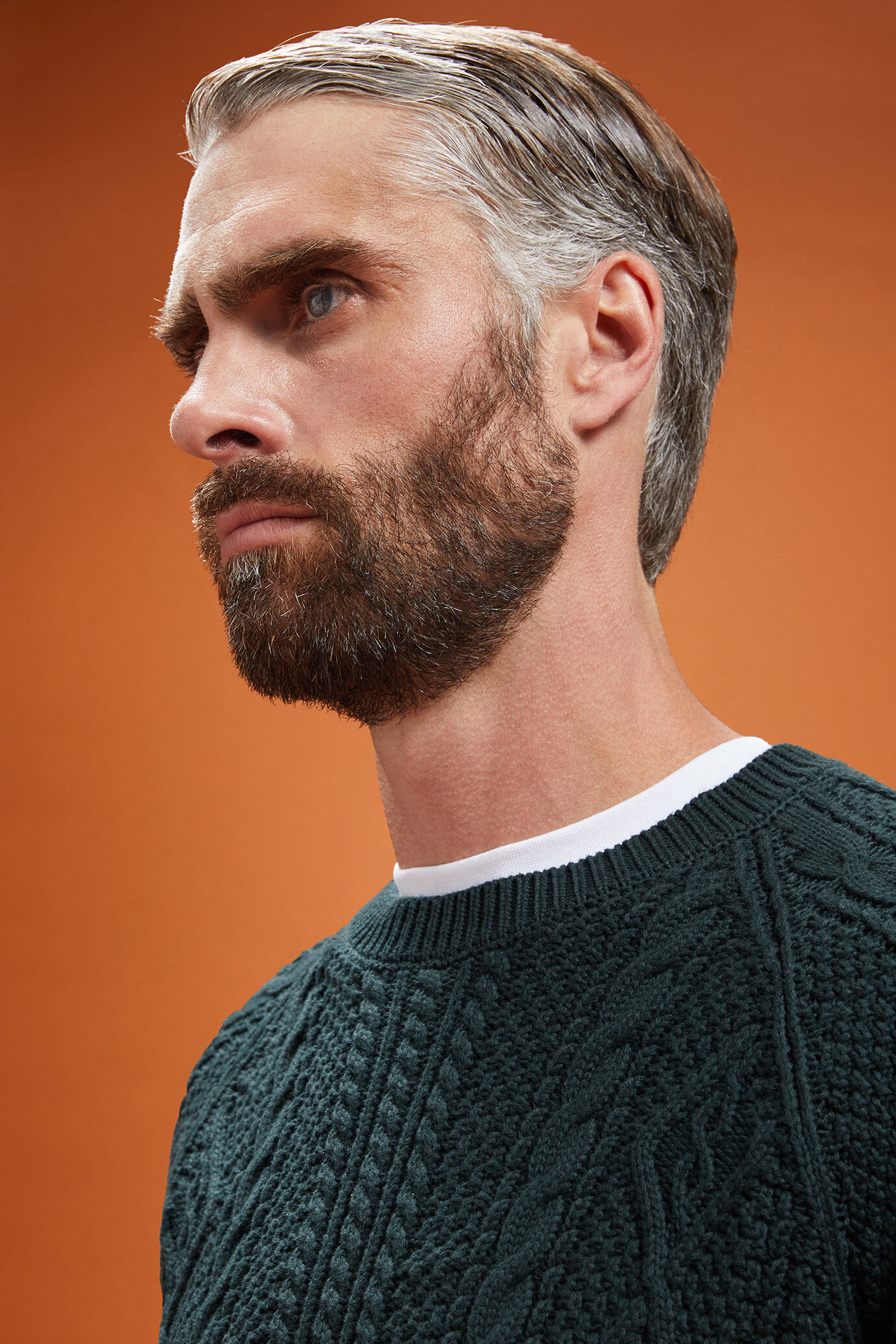 Herren-Rundhalspullover mit Zopfstrick aus 100 % Baumwolle in normaler Passform image number 3