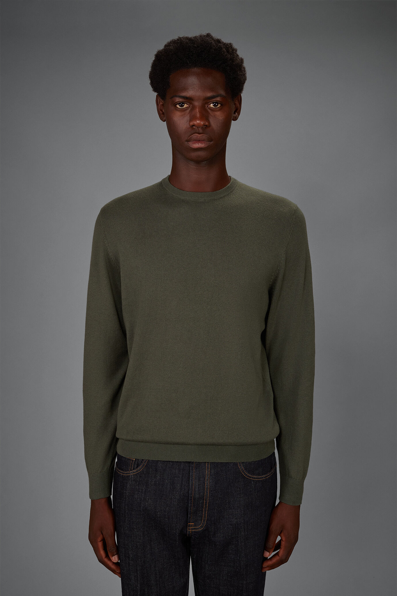 Maglia uomo girocollo in misto lana e cotone regular fit image number 1