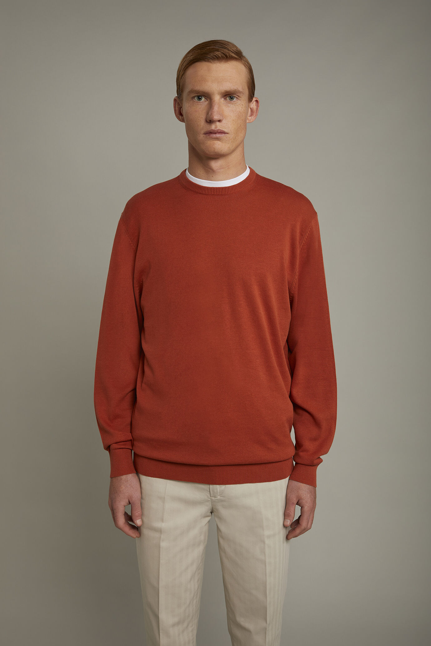 Pull homme &agrave; col rond 100&nbsp;% coton coupe r&eacute;guli&egrave;re image number 2