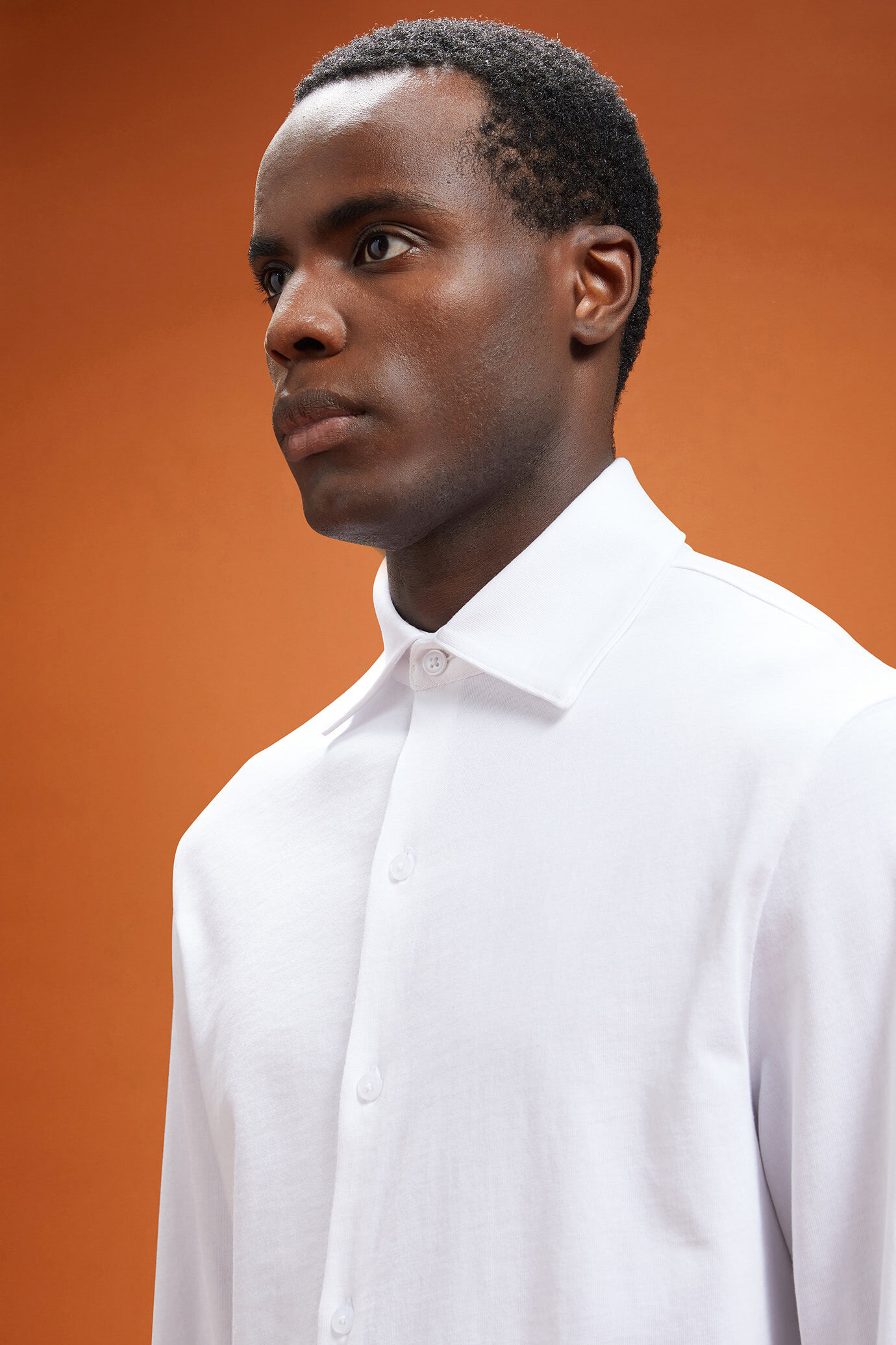 Langärmeliges Herren-Poloshirt mit klassischem Kragen aus 100 % Baumwolle in normaler Passform image number 3