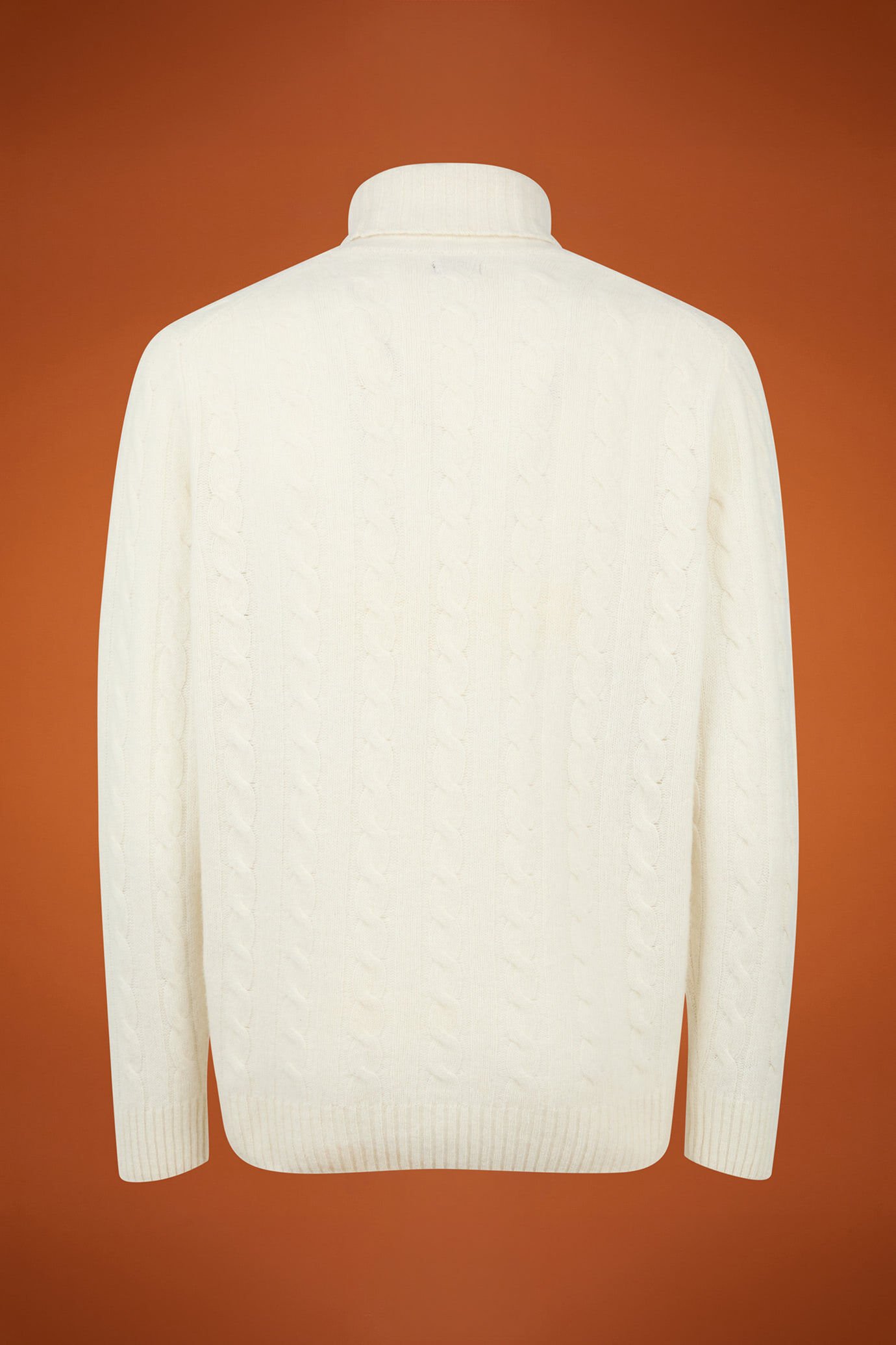 Pull homme à col roulé en laine d'agneau, coupe classique image number 5