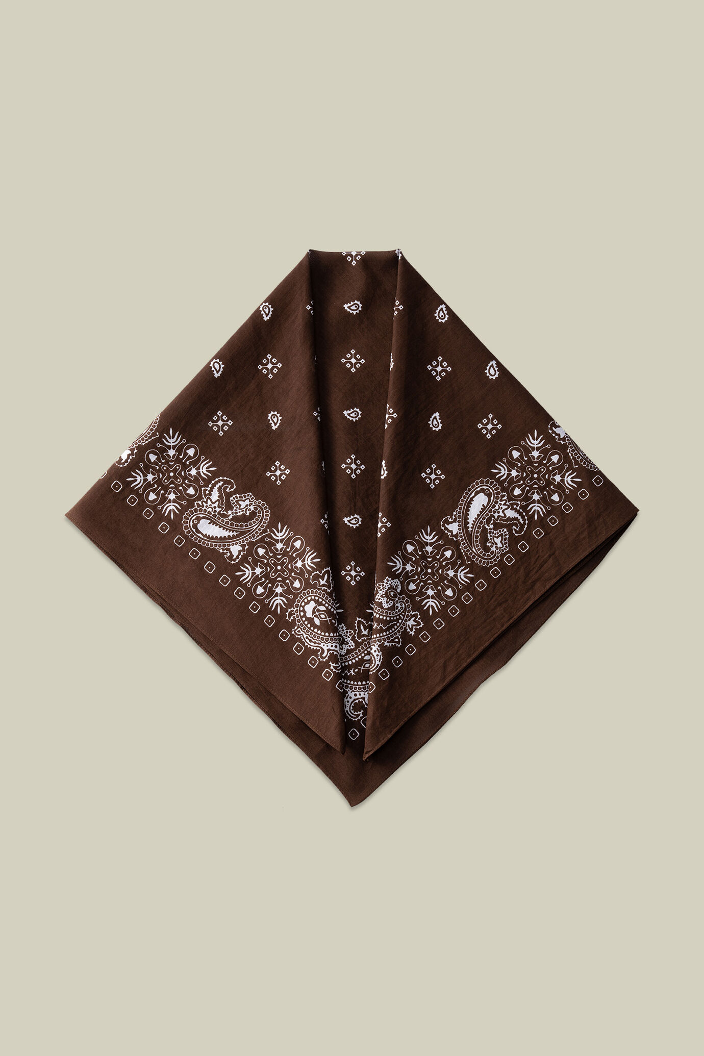 Foulard femme en coton avec motif cachemire image number 1