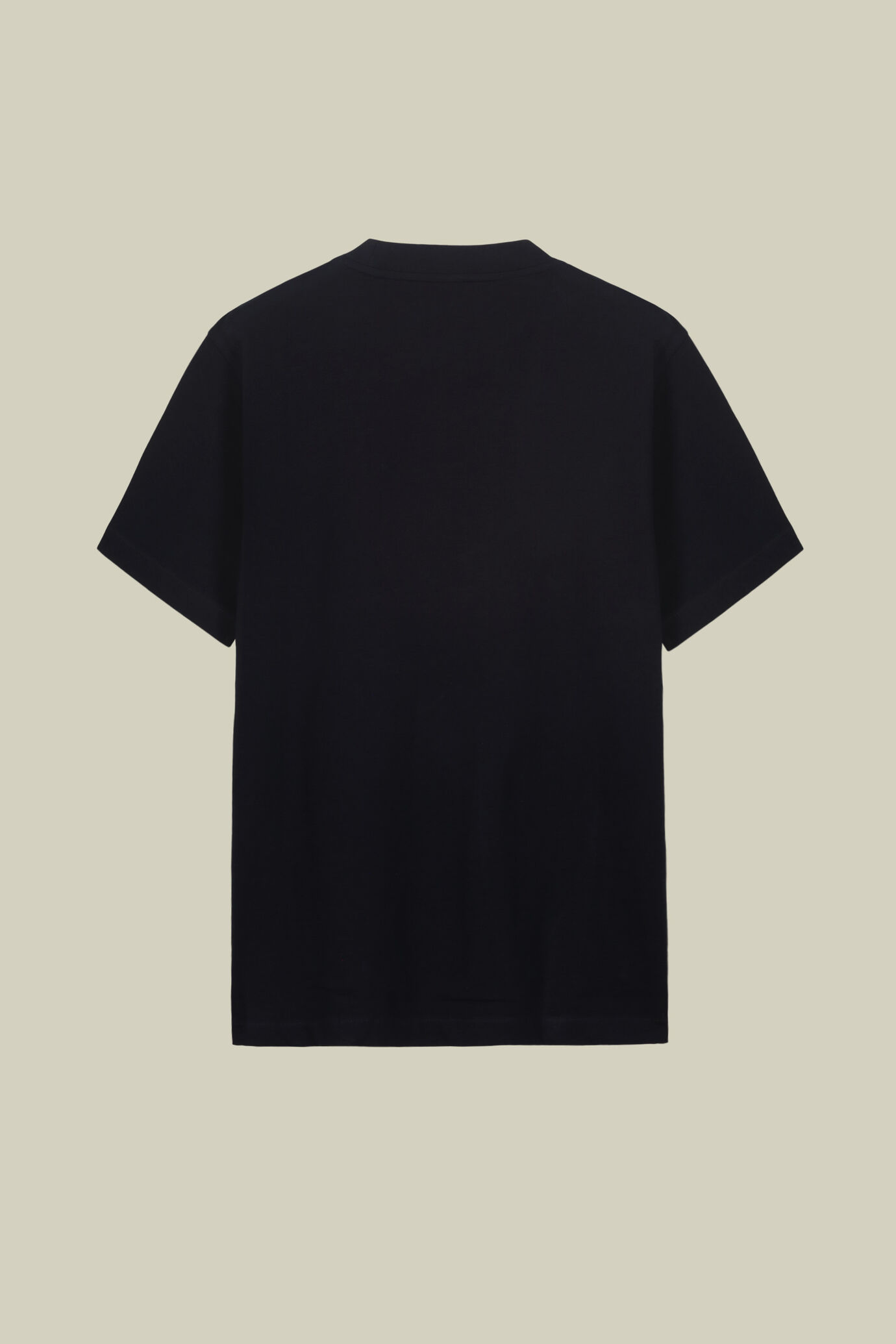 T-shirt uomo manica corta in jersey con colletto 100% cotone image number 5