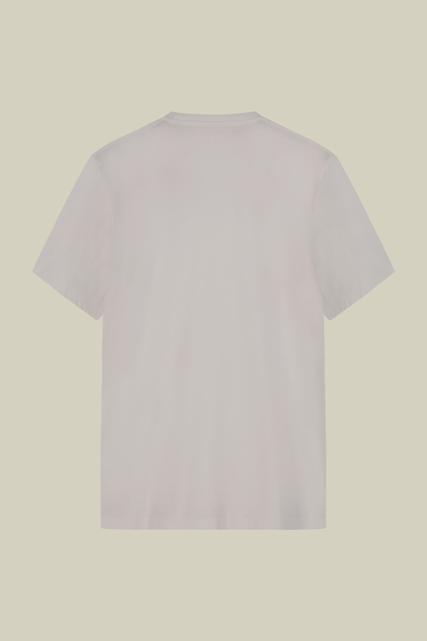 Men's round neck T-shirt in 100% cotton regular fit image number 5