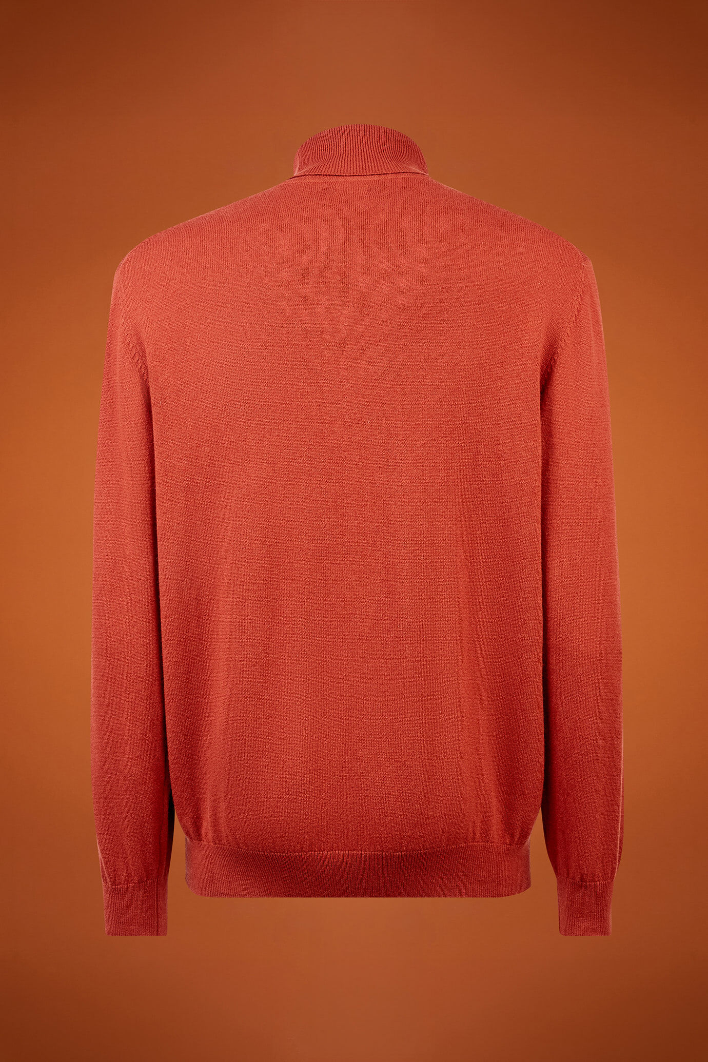 Men's regular fit turtleneck jumper in wool and cotton image number 5