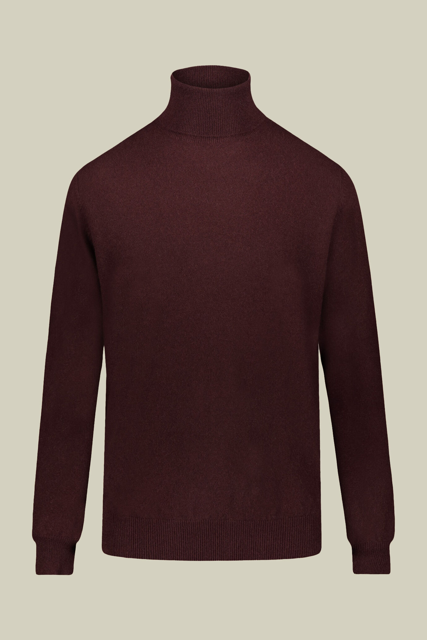 Turtleneck sweater 100% cachemire image number 1