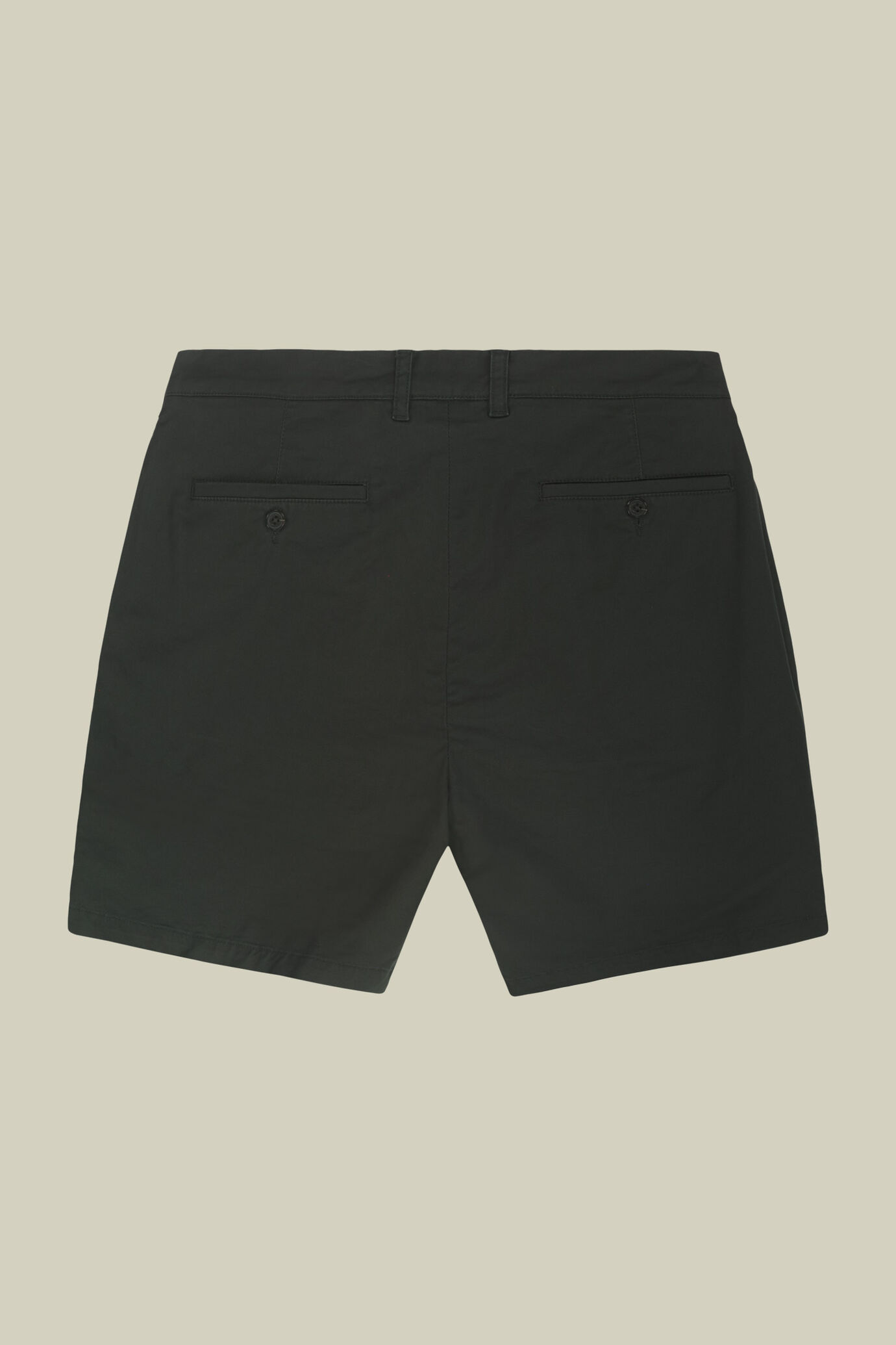 Bermuda uomo classico in cotone twill regular fit image number 5