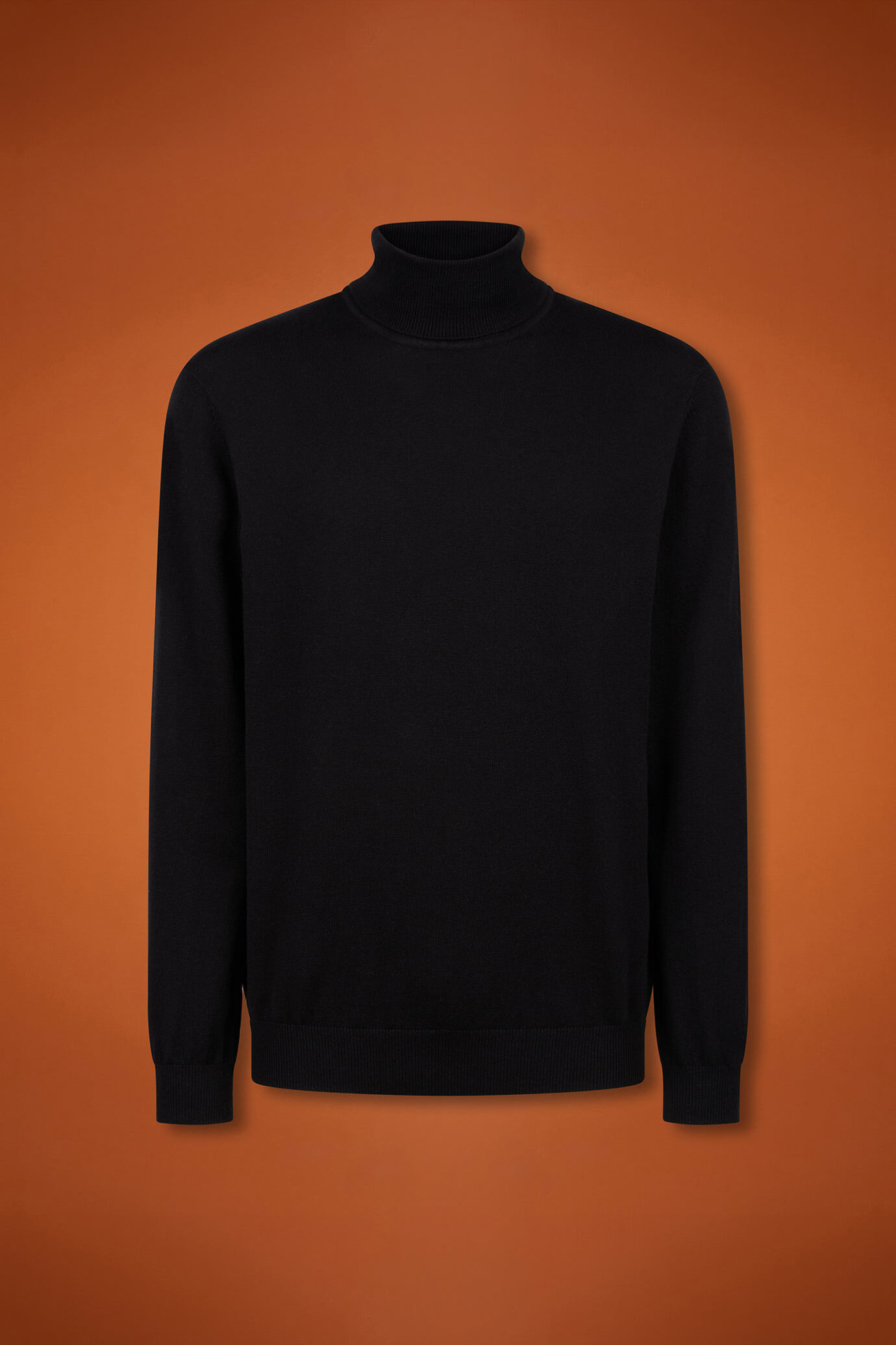 Men's regular fit turtleneck jumper in wool and cotton image number 4