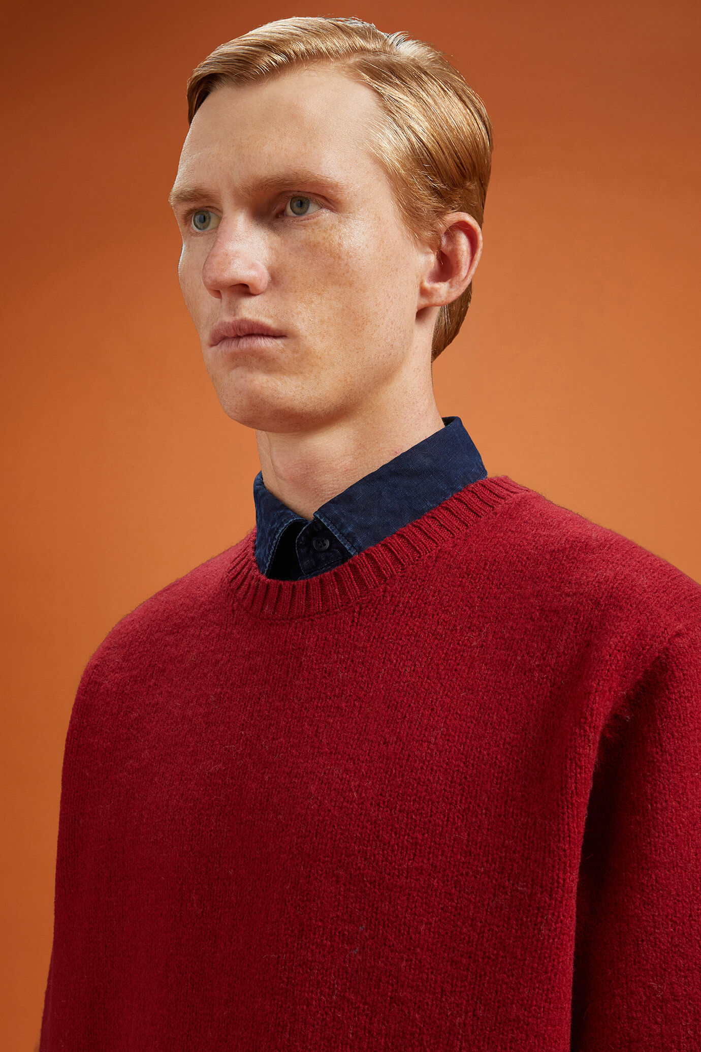 Herren-Pullover mit Rundhalsausschnitt aus 100 % Wolle in normaler Passform image number 4