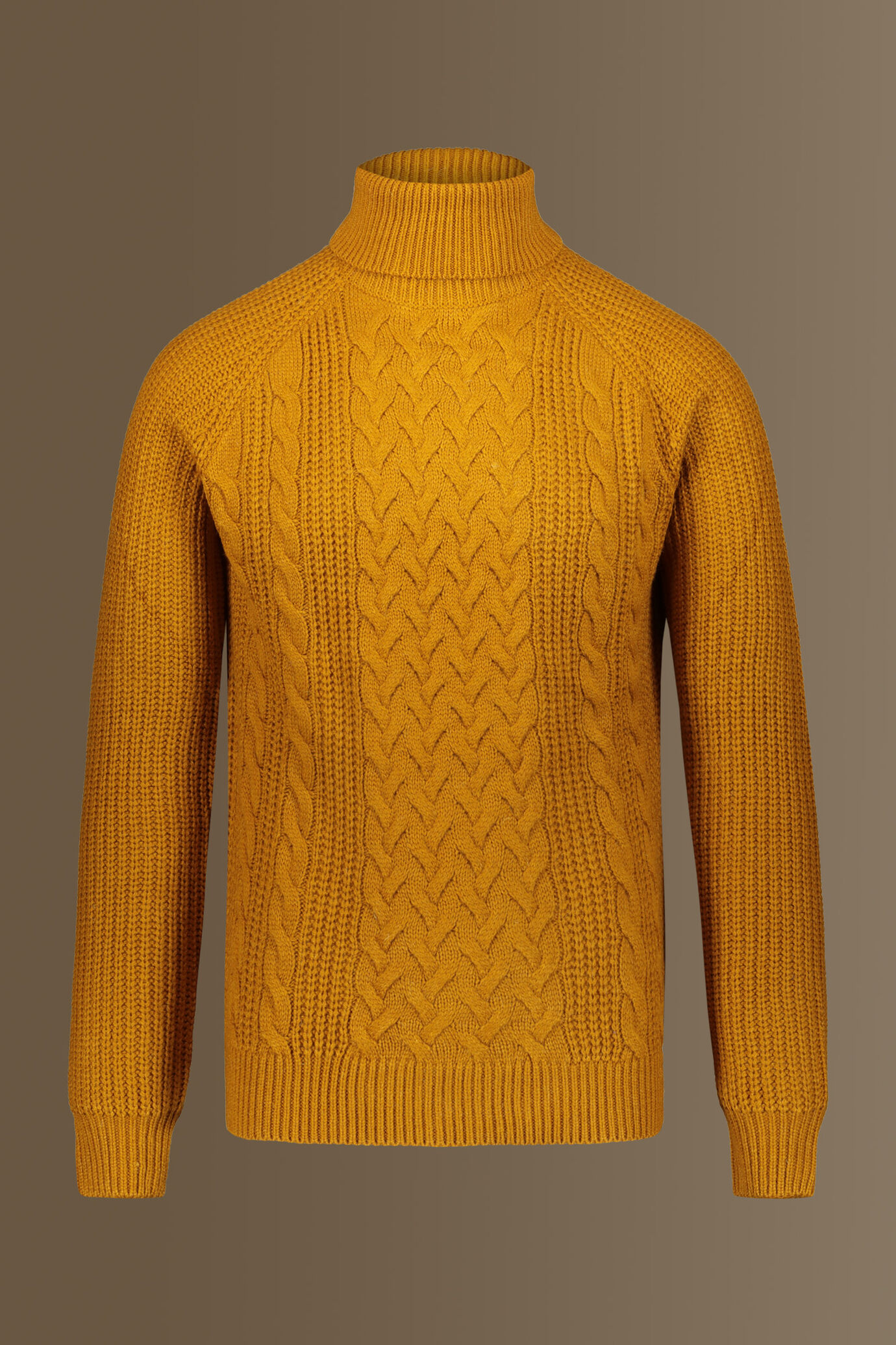 Turtle neck sweater wool blend raglan sleeves image number 0